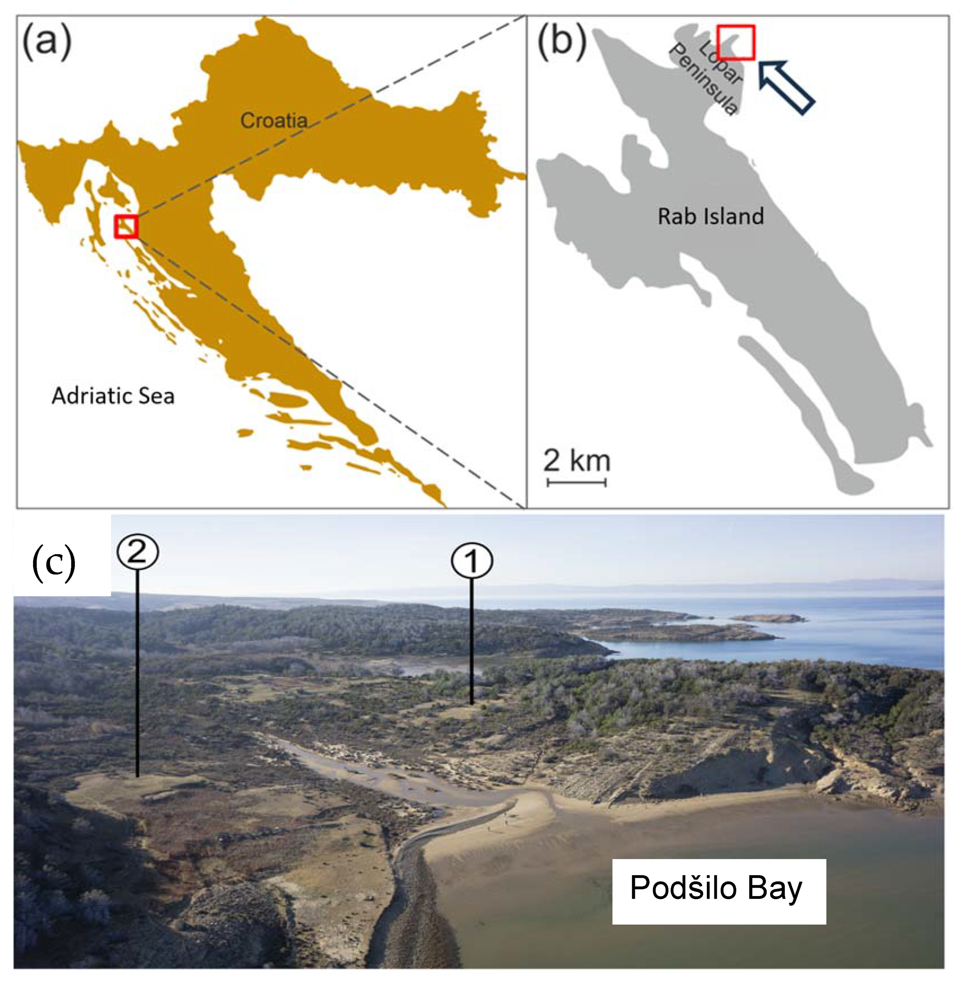 Materials 17 00359 g001