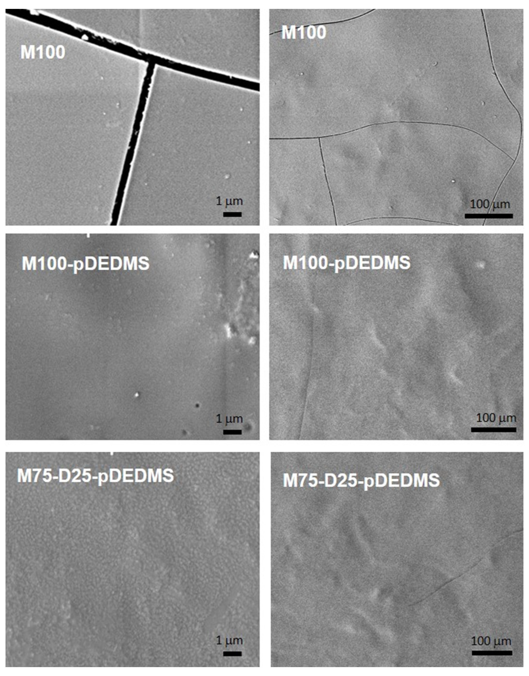 Materials 17 00368 g002