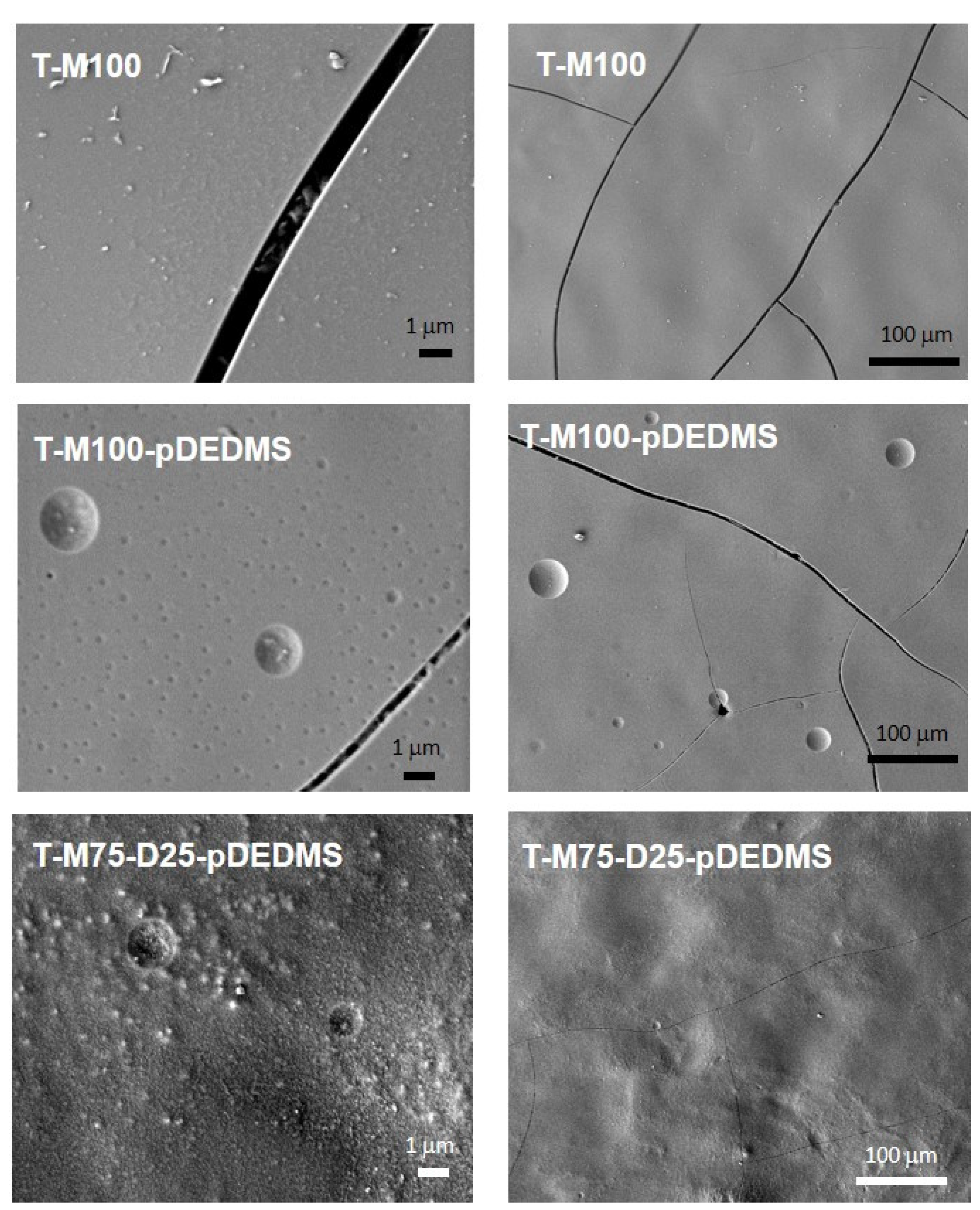 Materials 17 00368 g004