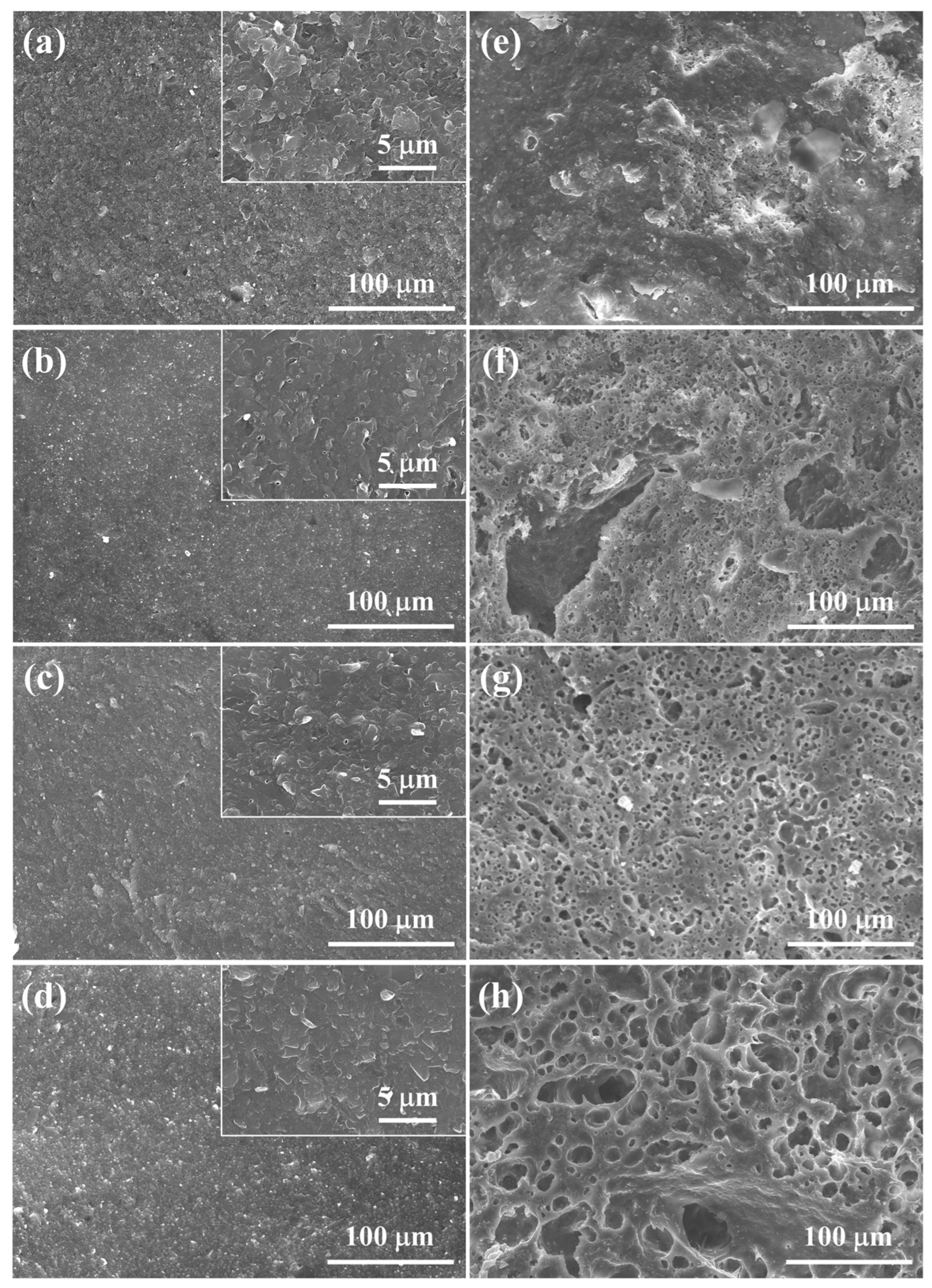 Materials 17 00381 g005