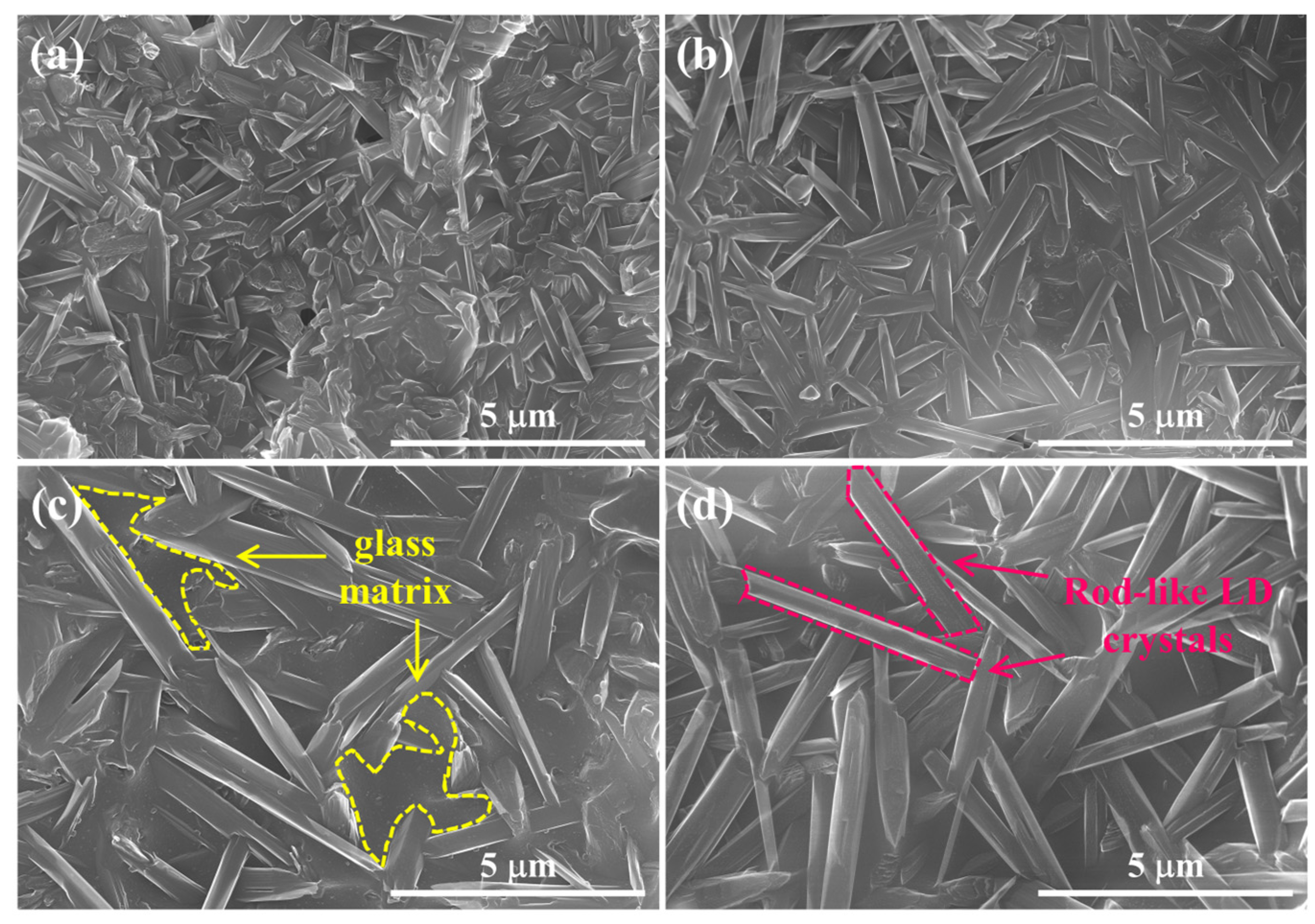 Materials 17 00381 g007