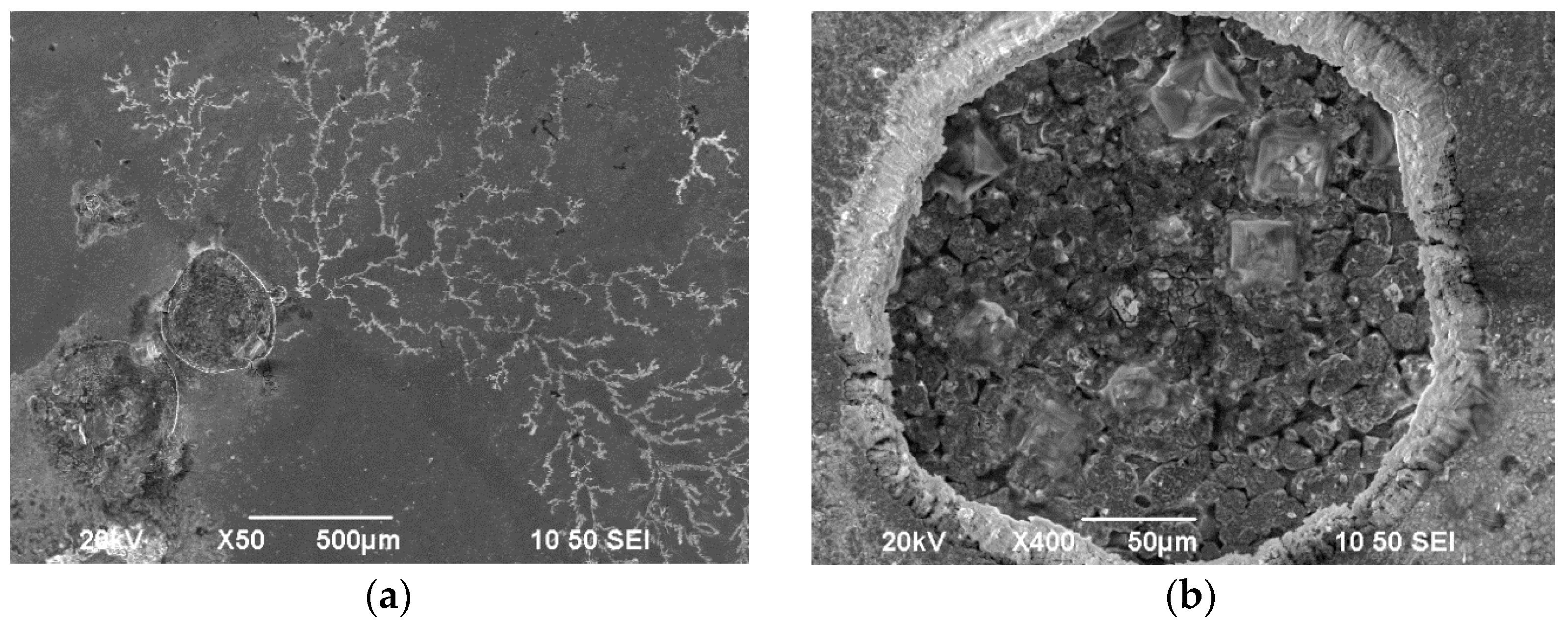 Materials 17 00392 g019