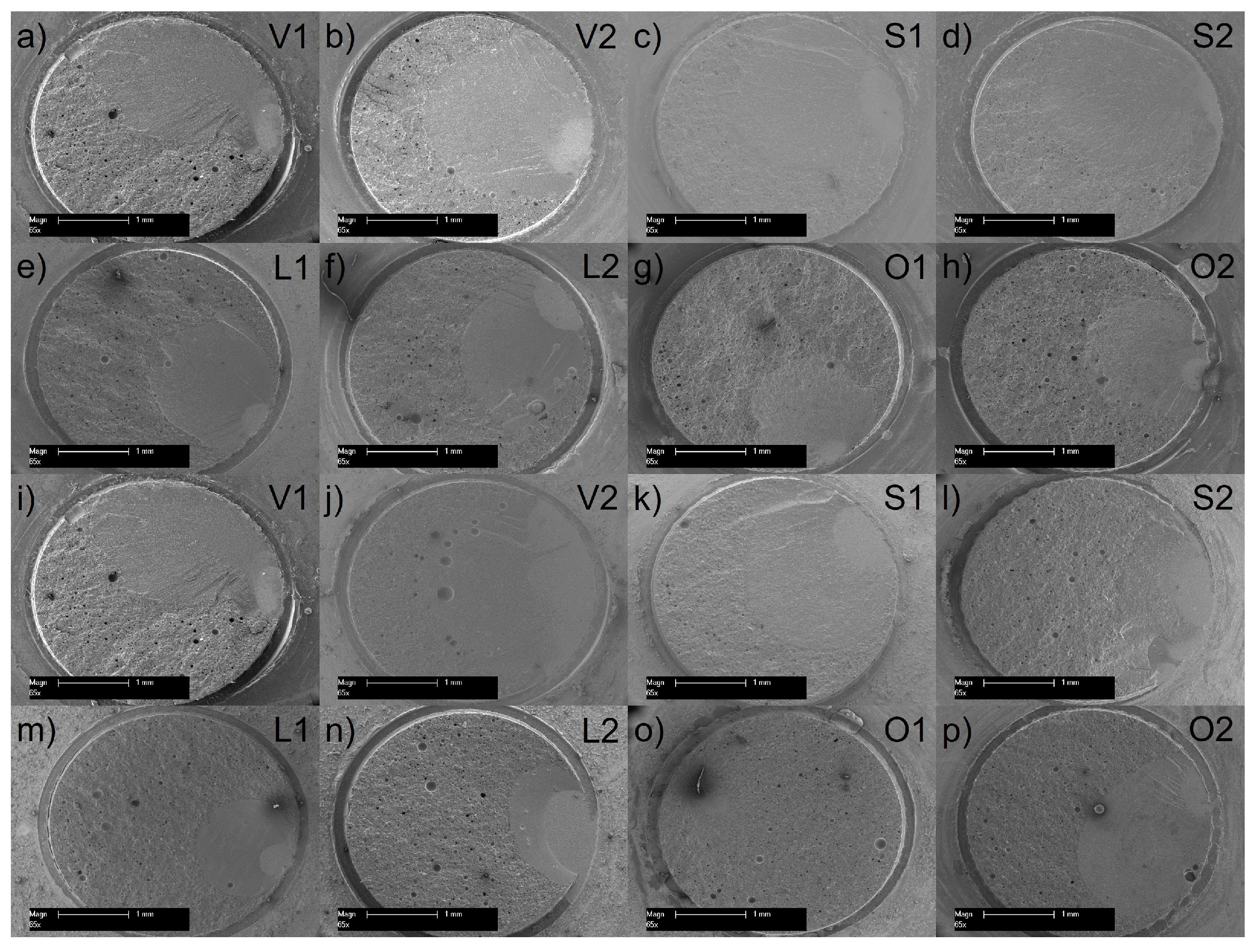 Materials 17 00424 g005