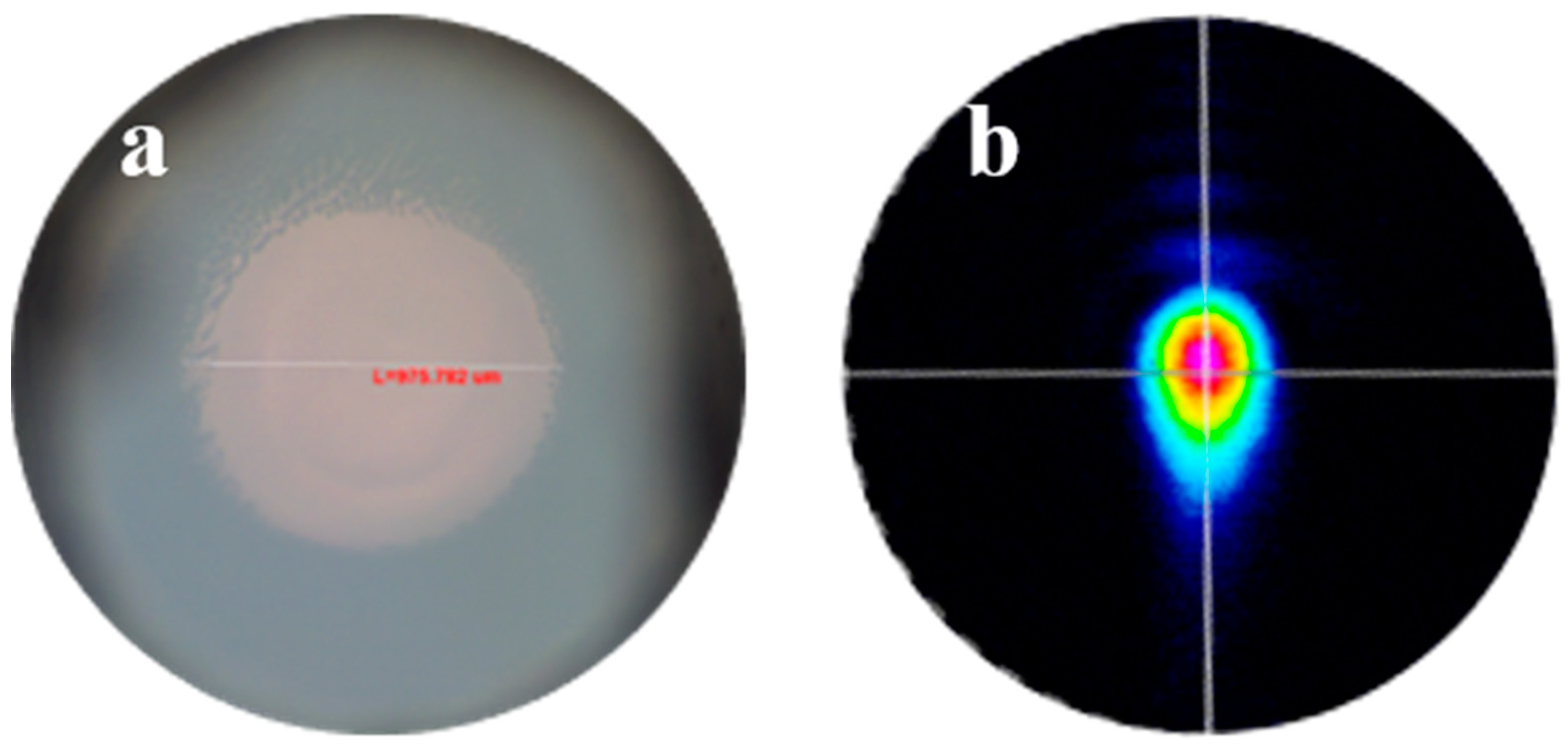 Materials 17 00429 g004