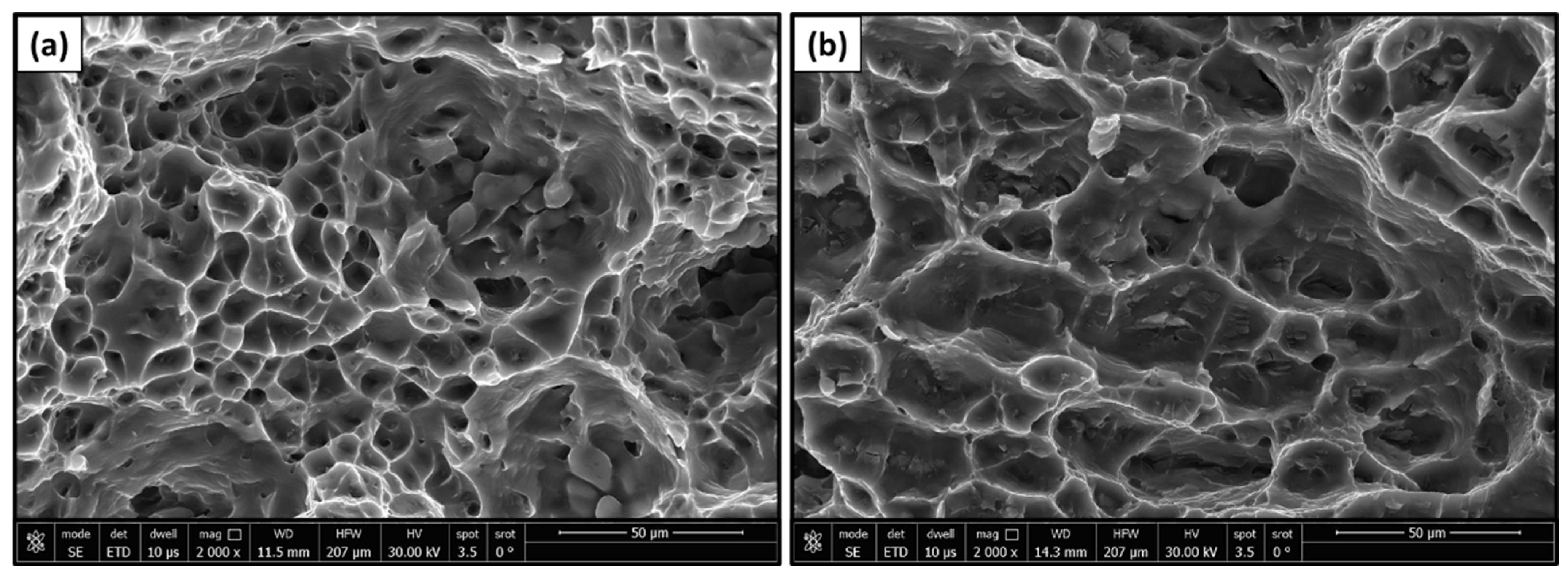 Materials 17 00433 g007