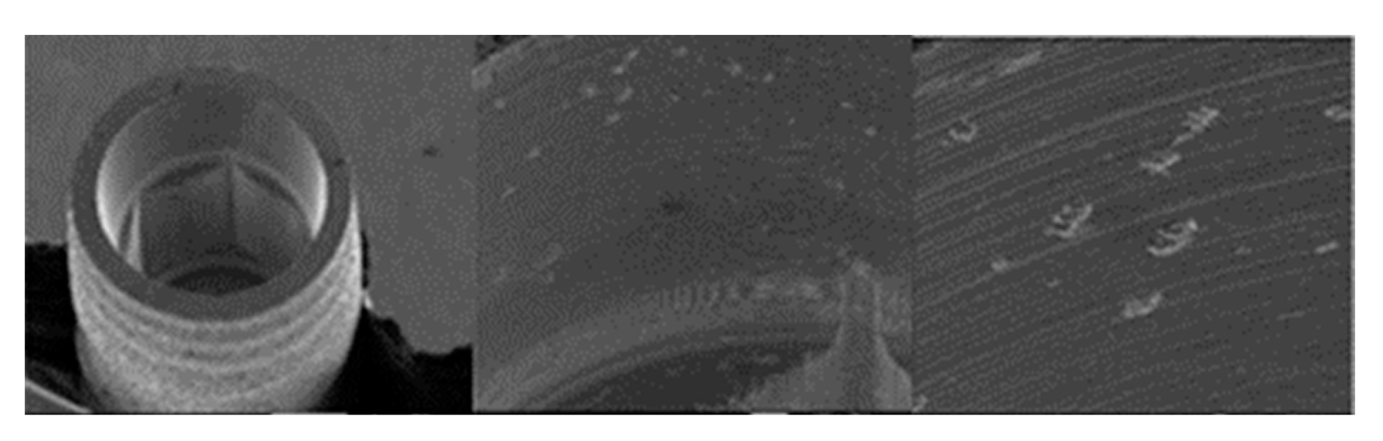 Materials 17 00434 g017 Materials 17 00434 g017