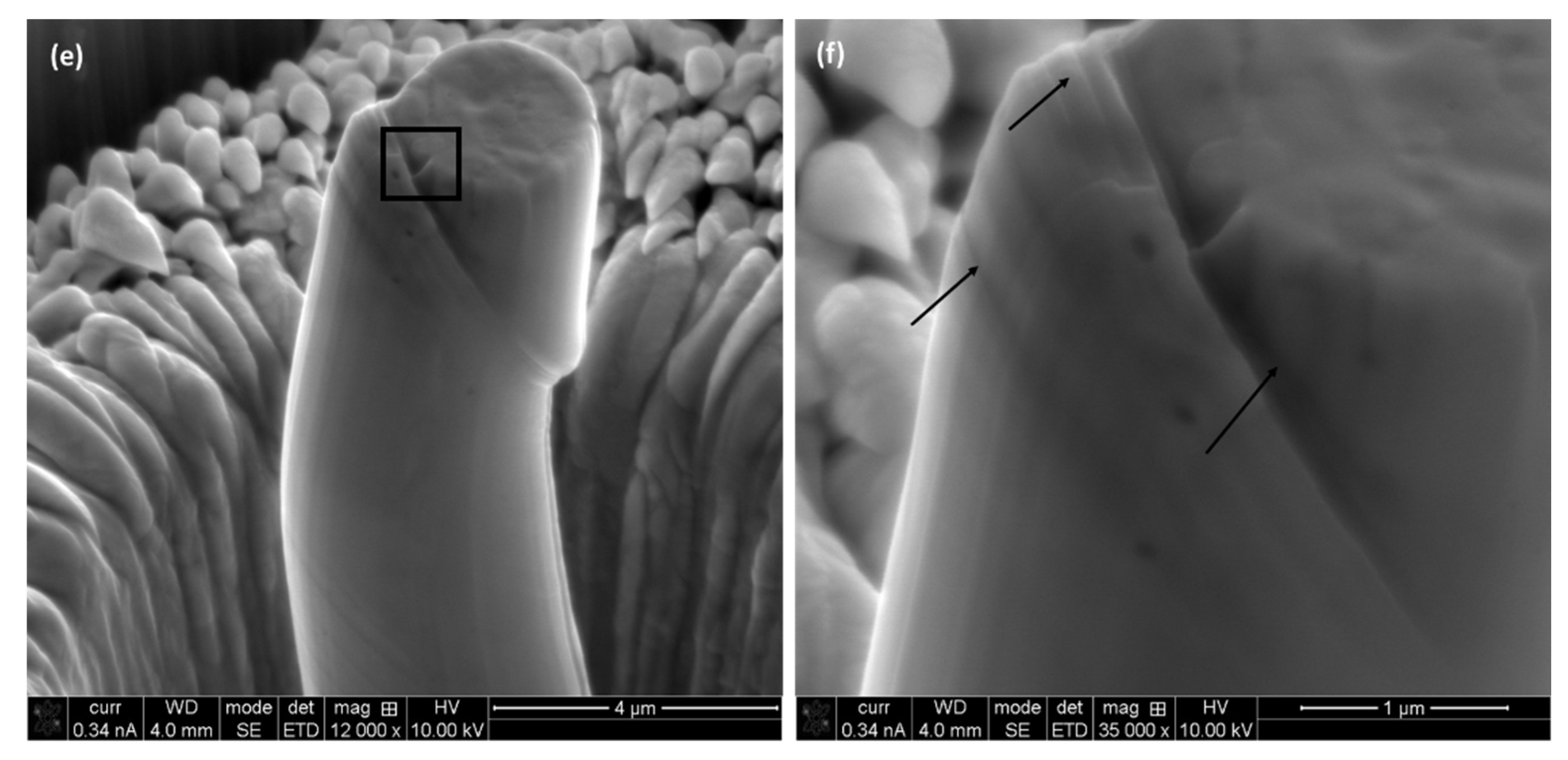 Materials 17 00439 g009b