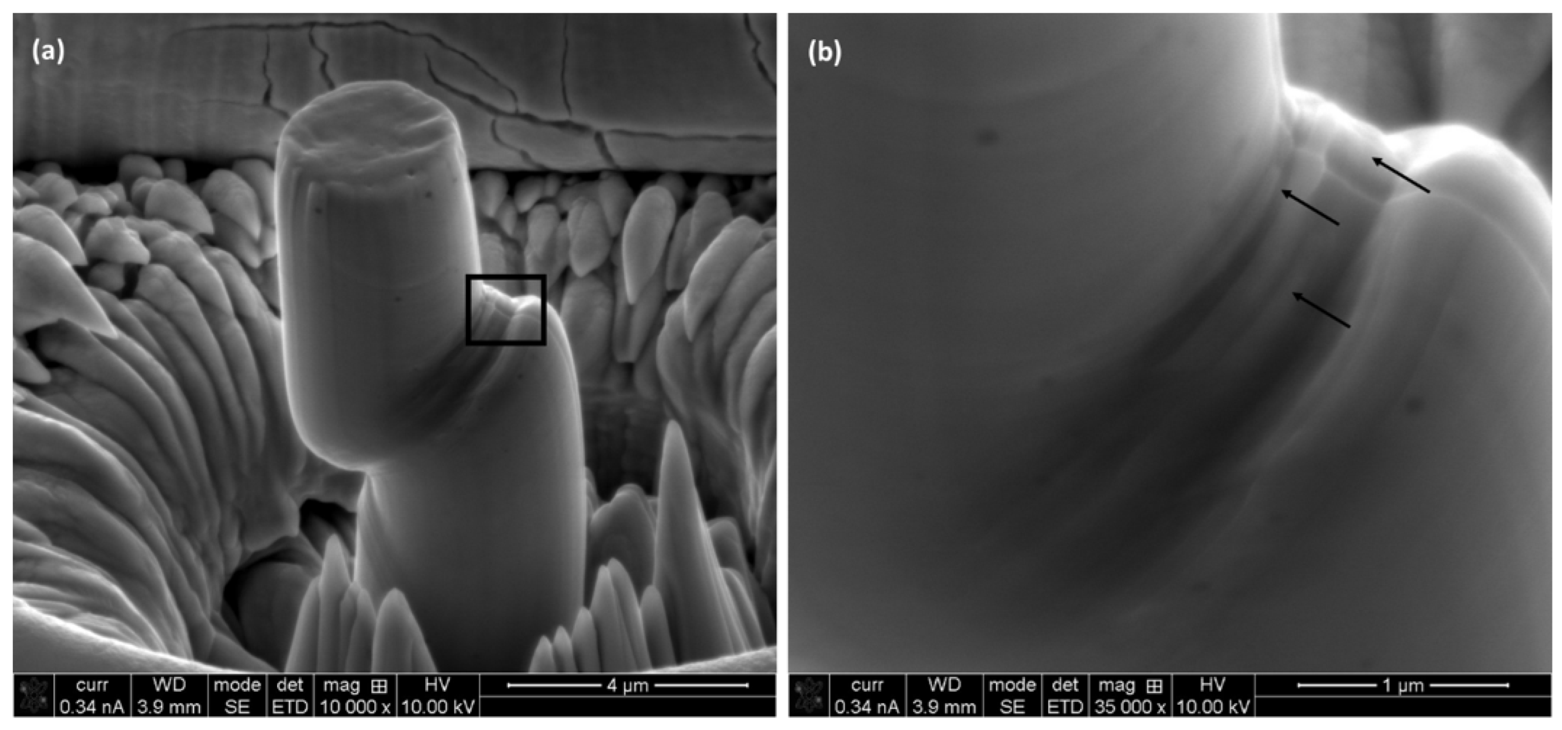 Materials 17 00439 g010