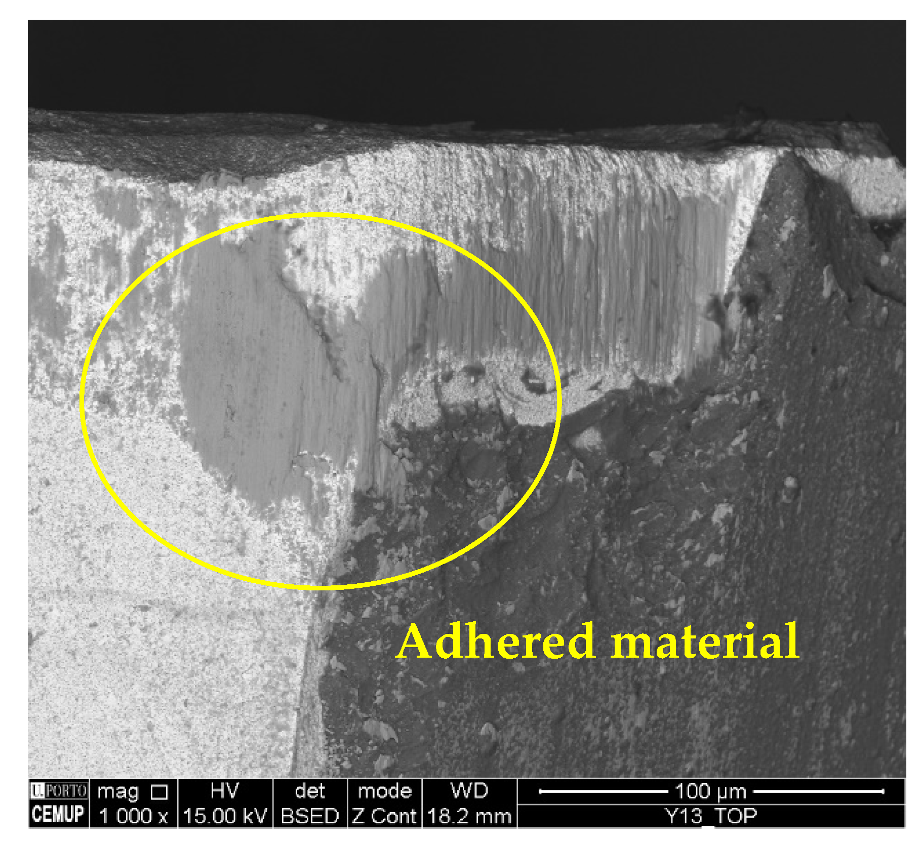 Materials 17 00443 g007