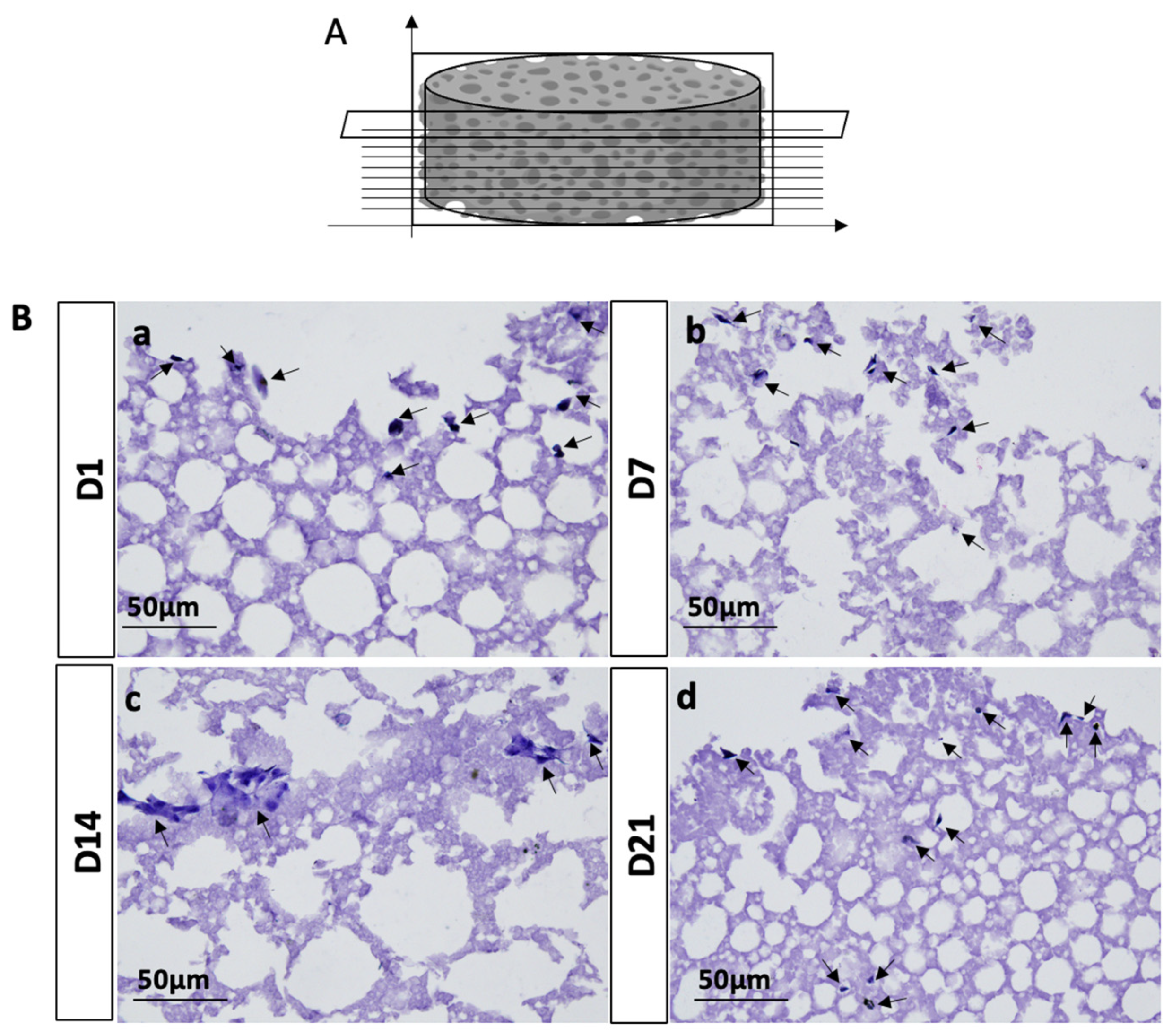 Materials 17 00449 g007