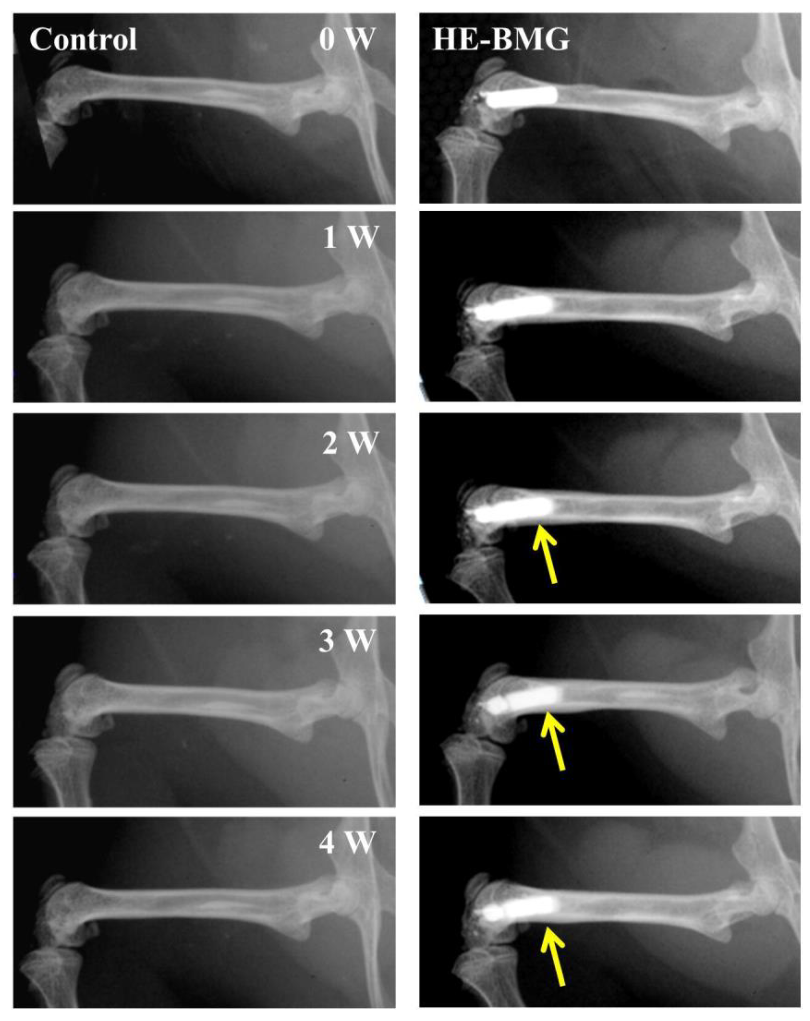 Materials 17 00453 g011