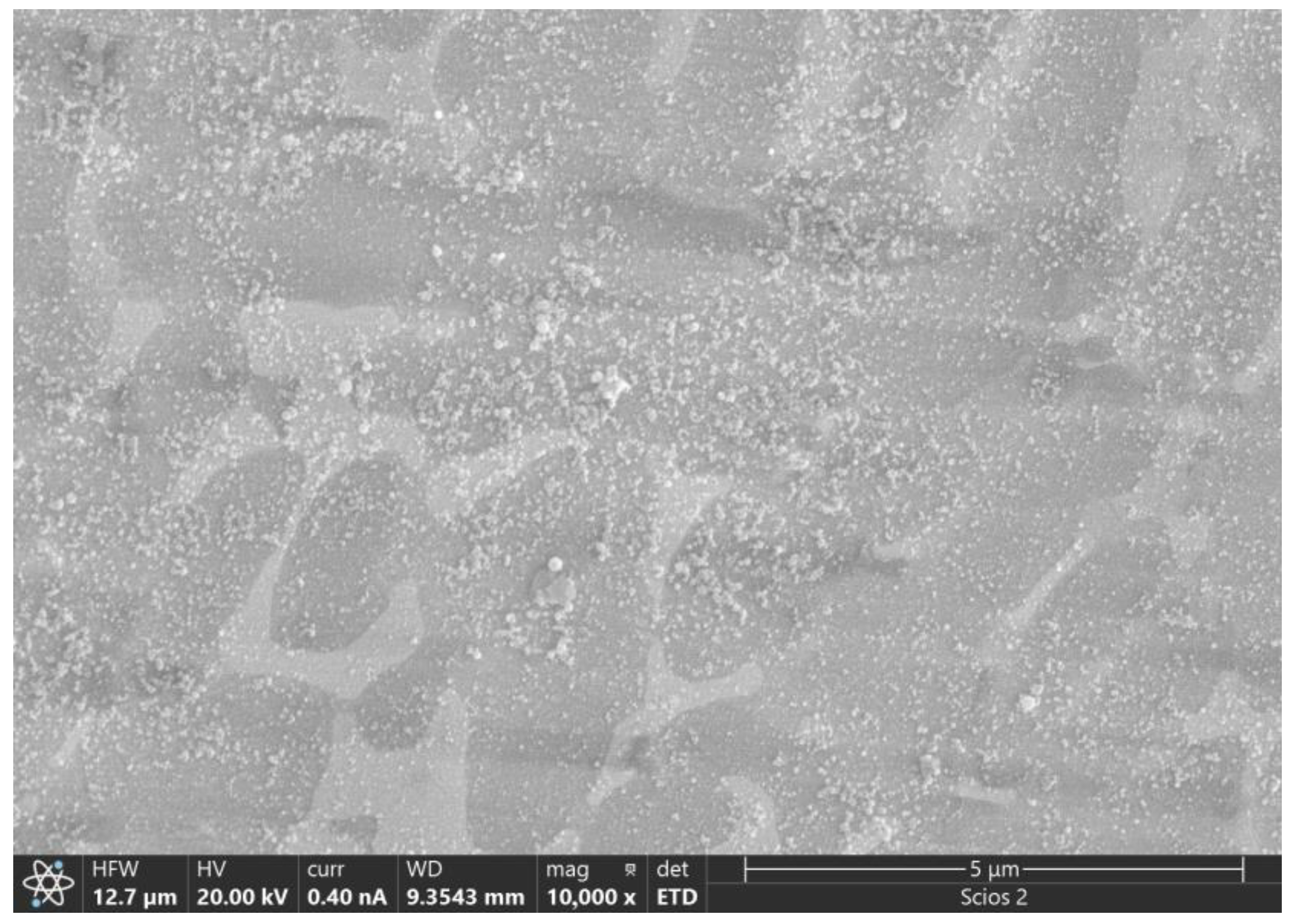 Materials 17 00453 g015