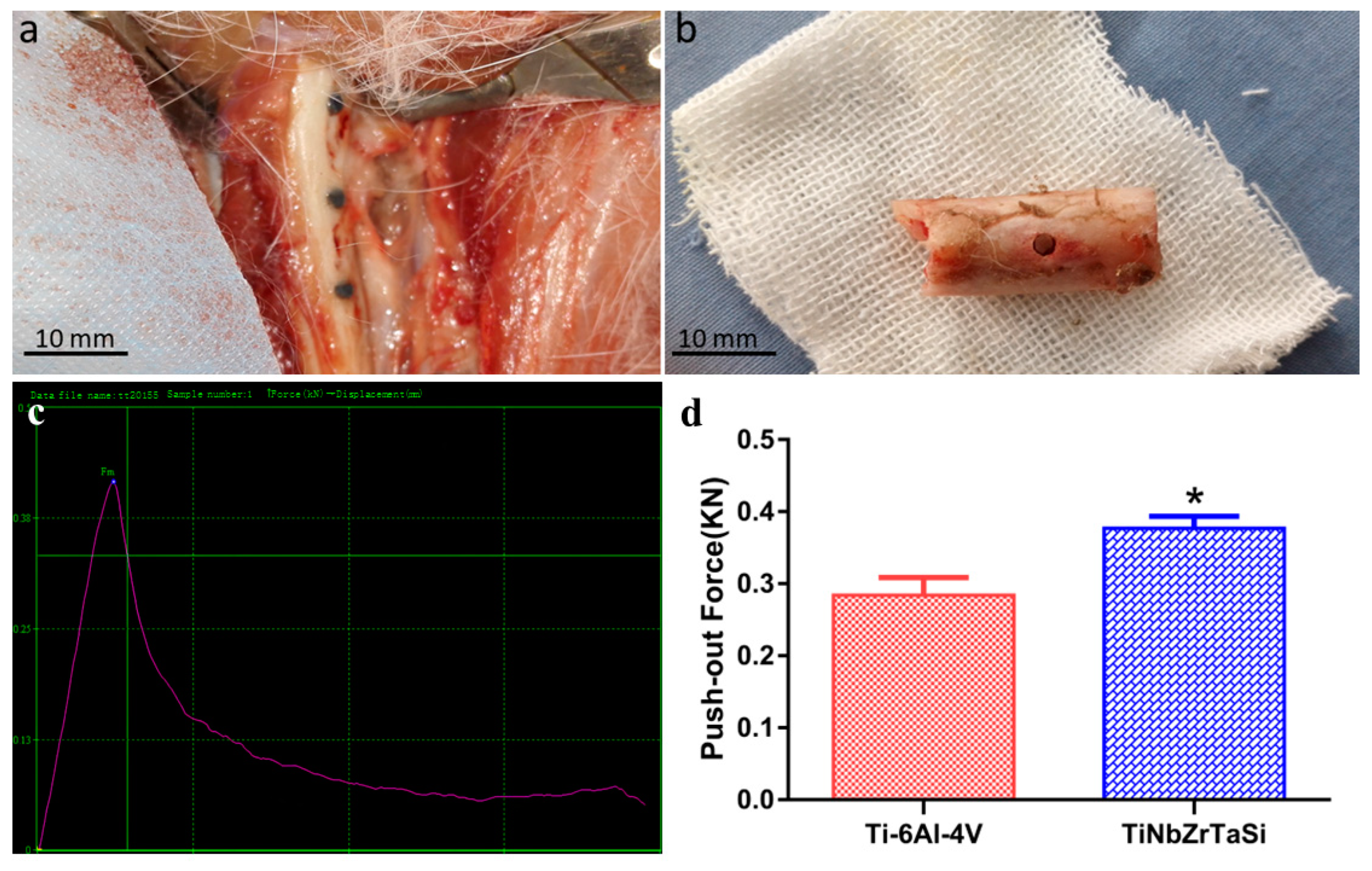 Materials 17 00472 g004