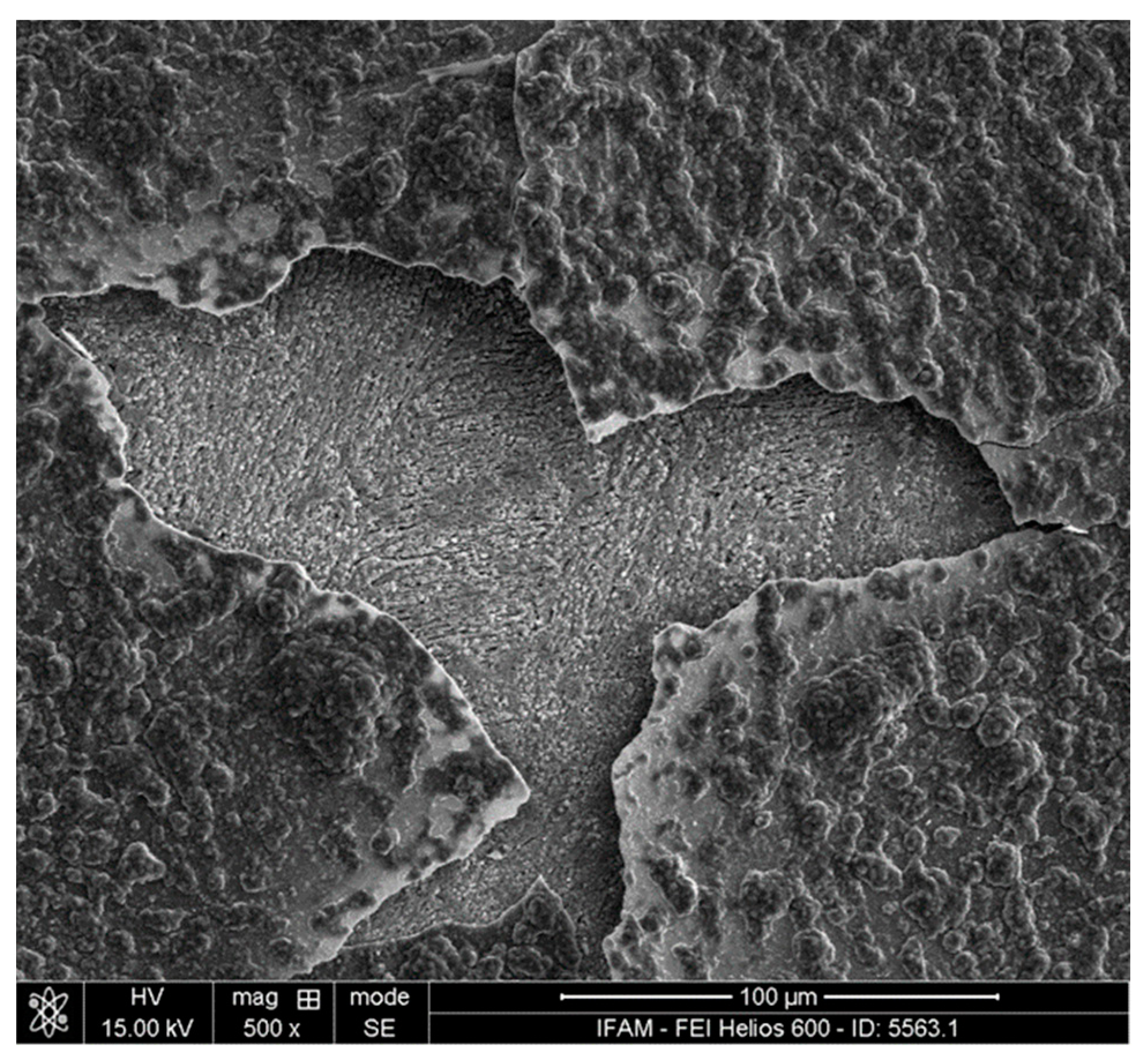 Materials 17 00498 g004