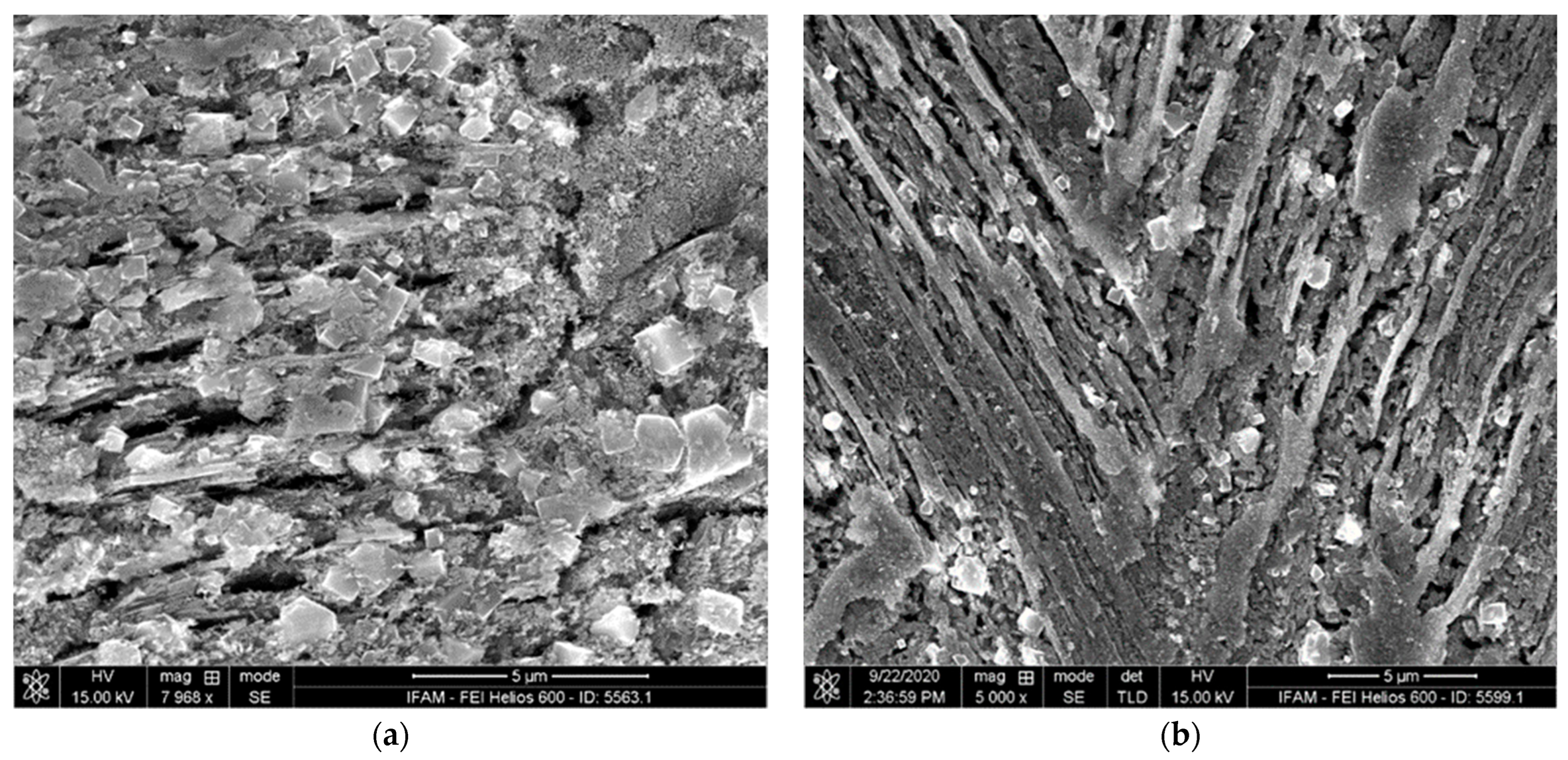 Materials 17 00498 g006a