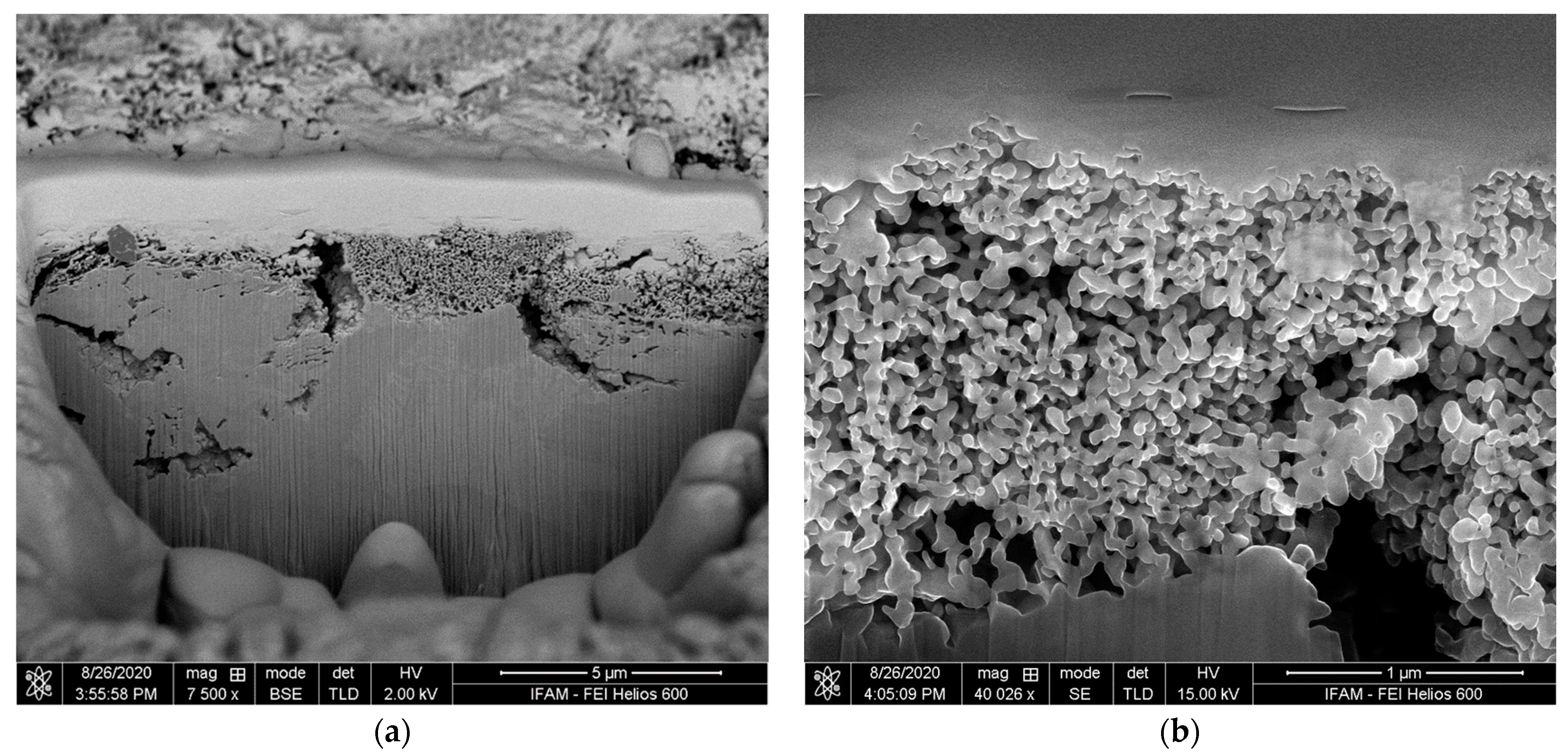 Materials 17 00498 g007