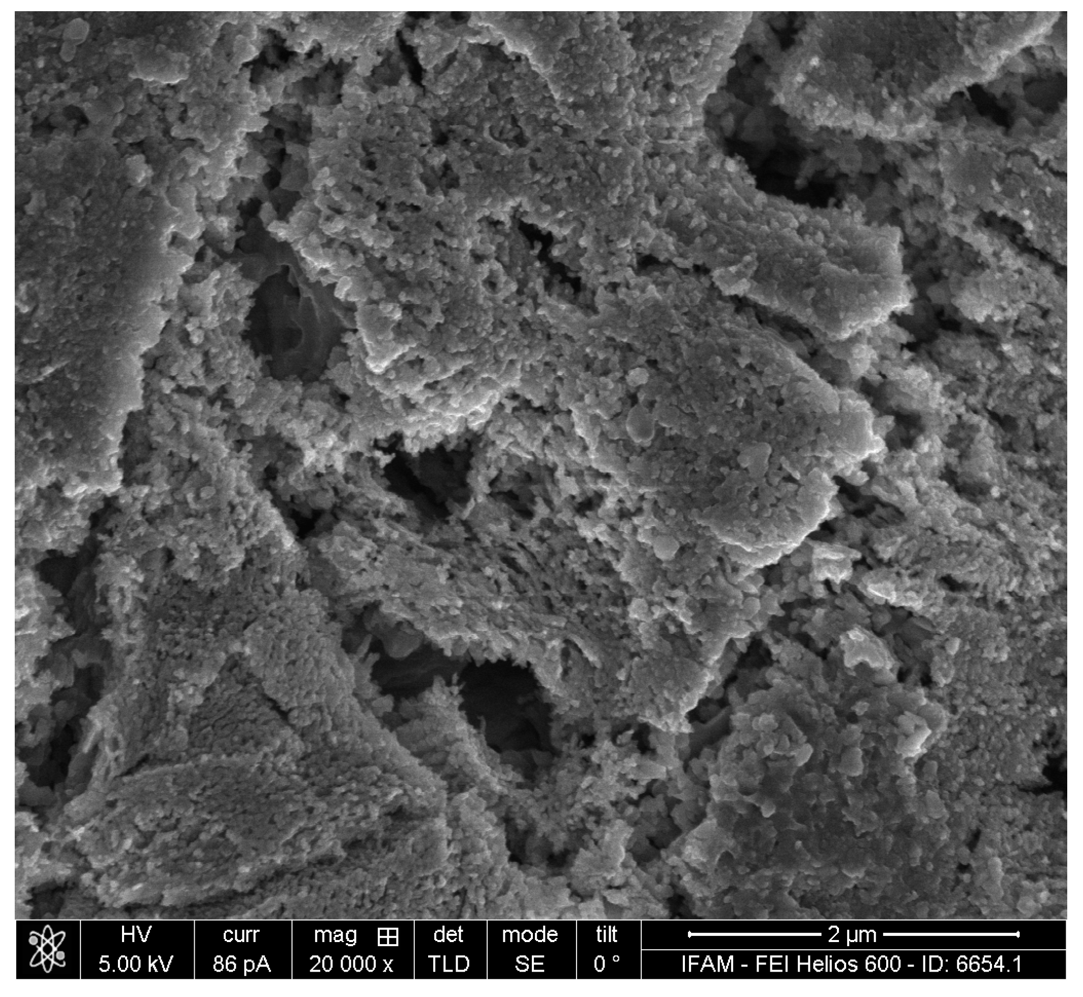 Materials 17 00498 g010