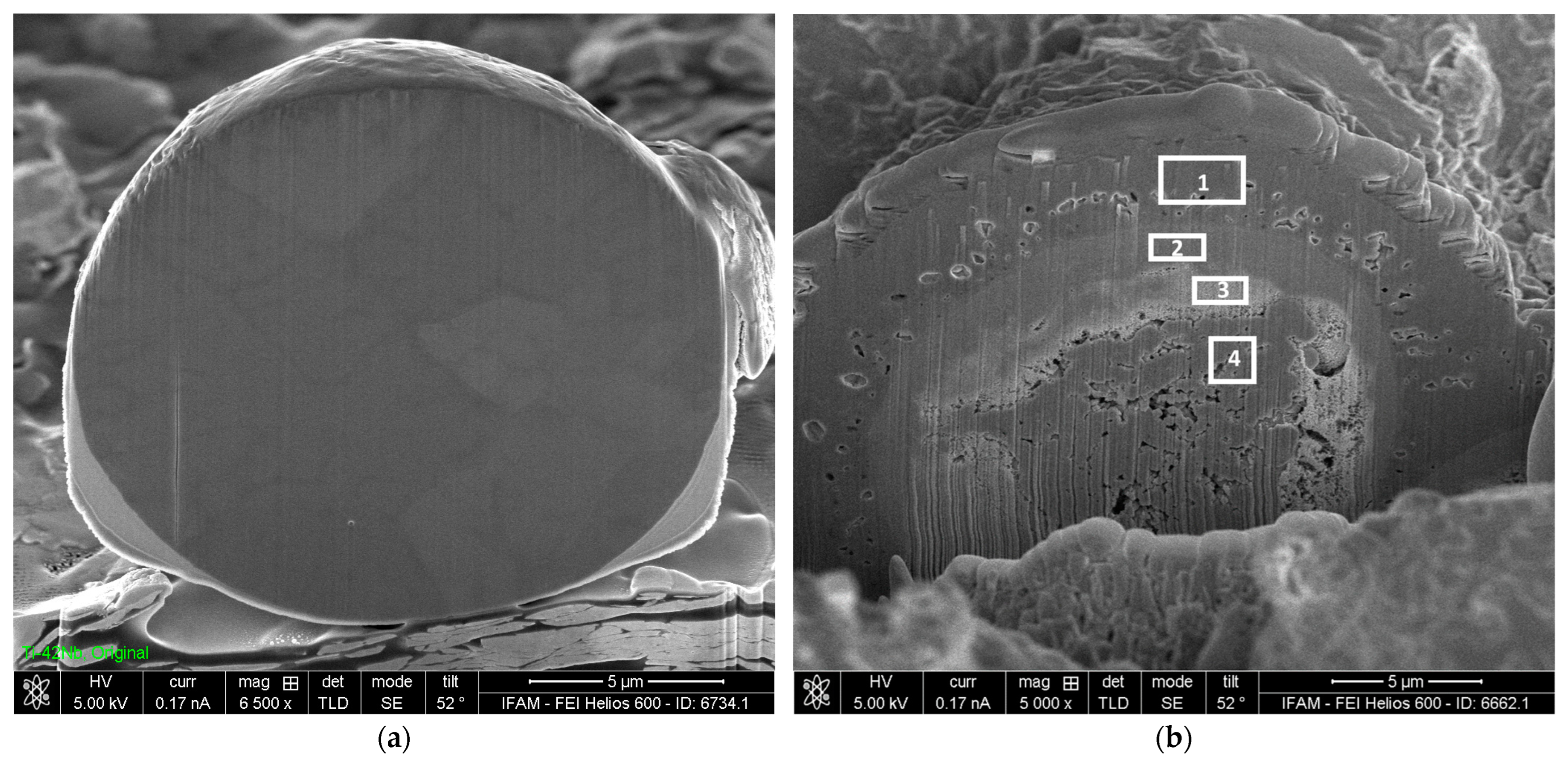 Materials 17 00498 g013