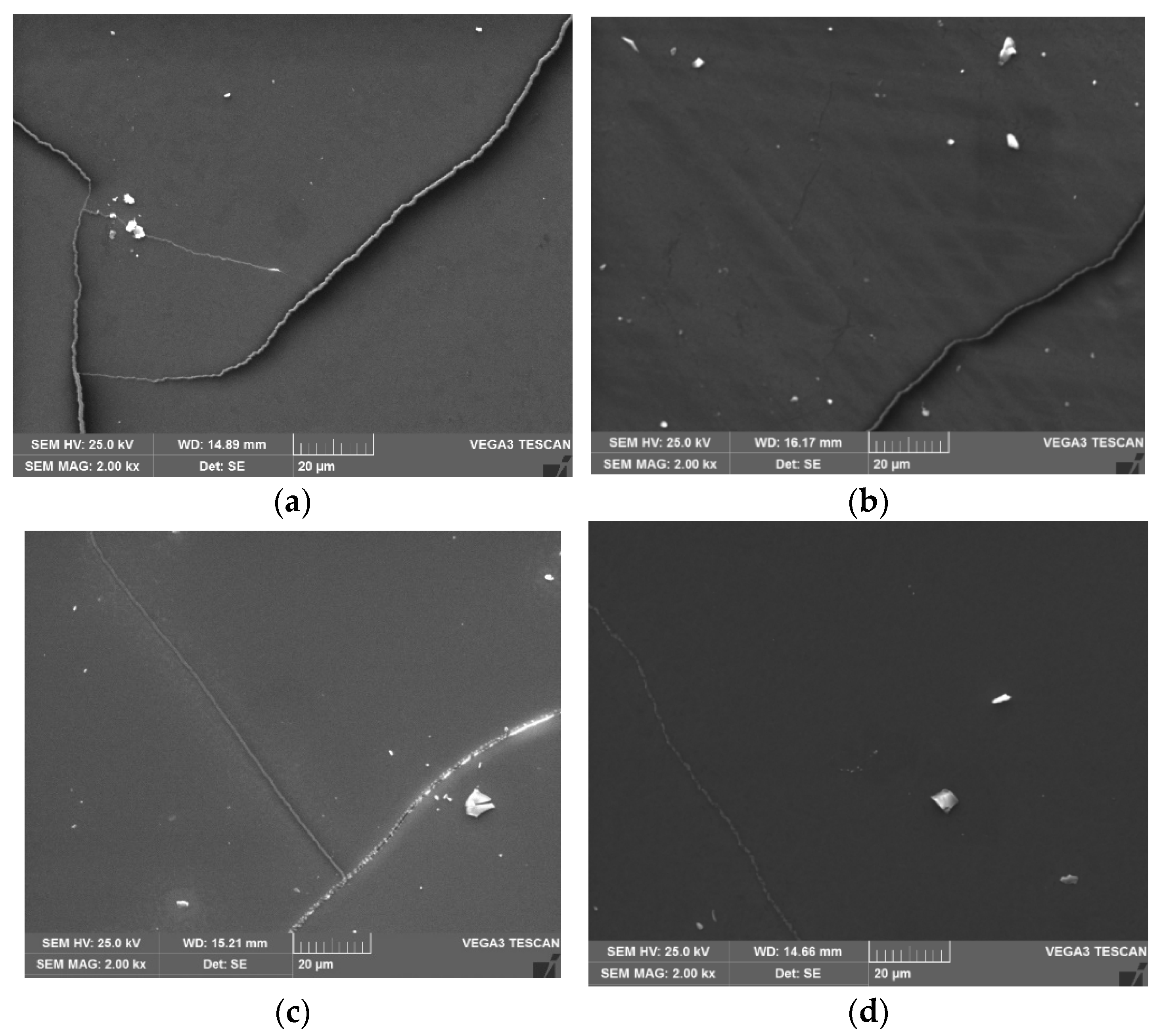 Materials 17 00499 g005