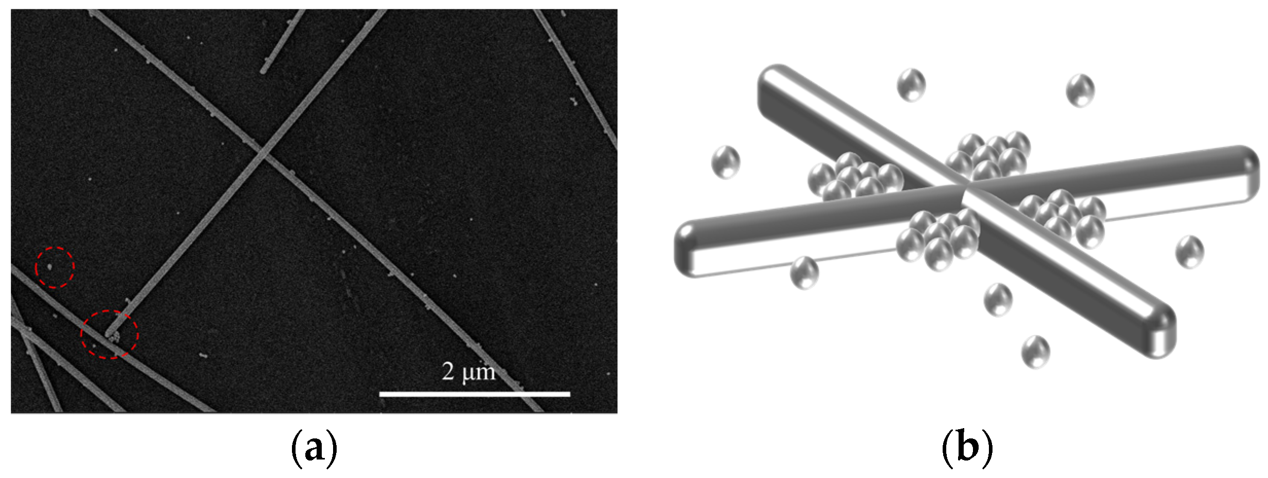 Materials 17 00505 g008