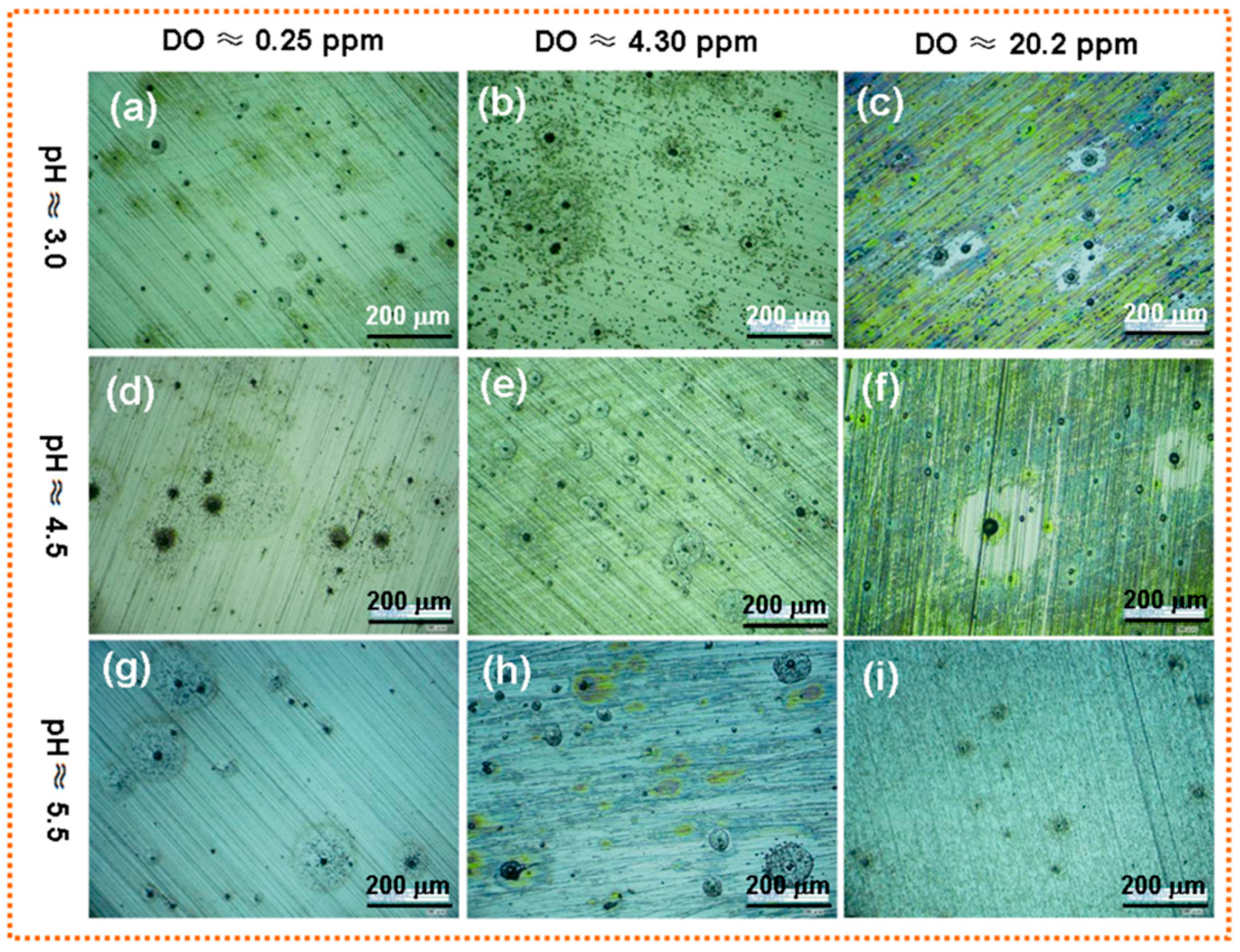 Materials 17 00507 g012