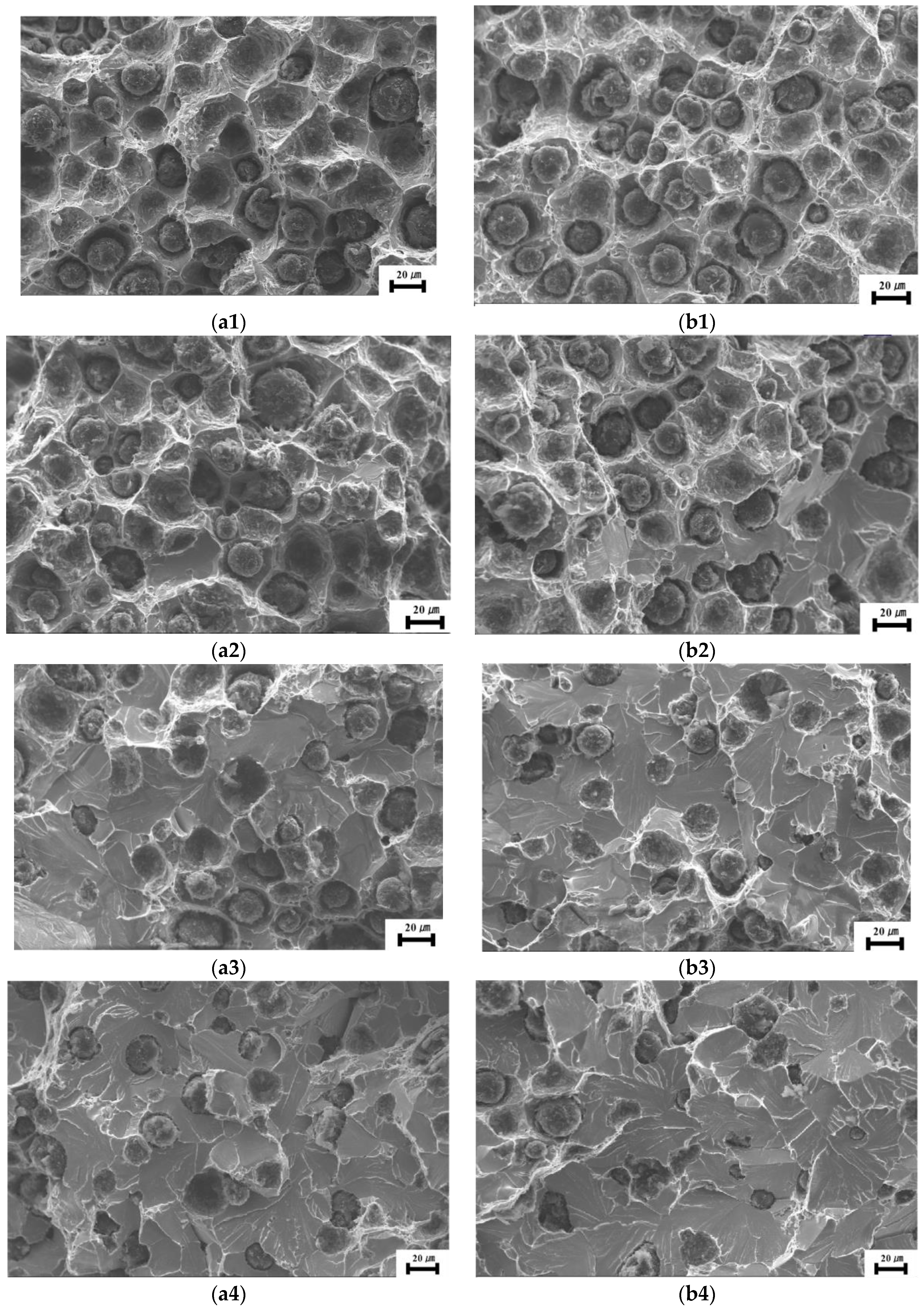 Materials 17 00513 g003a