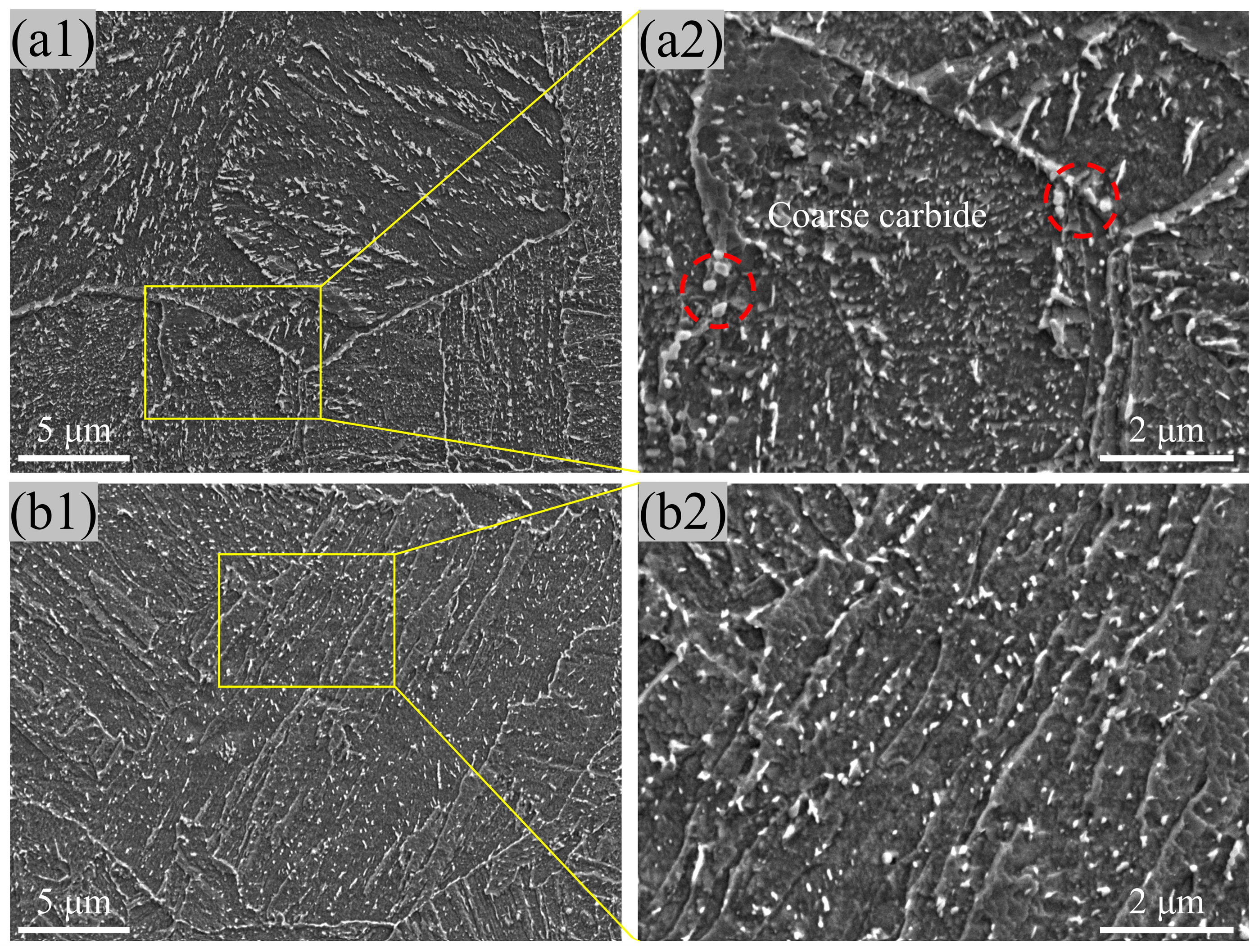 Materials 17 00518 g002