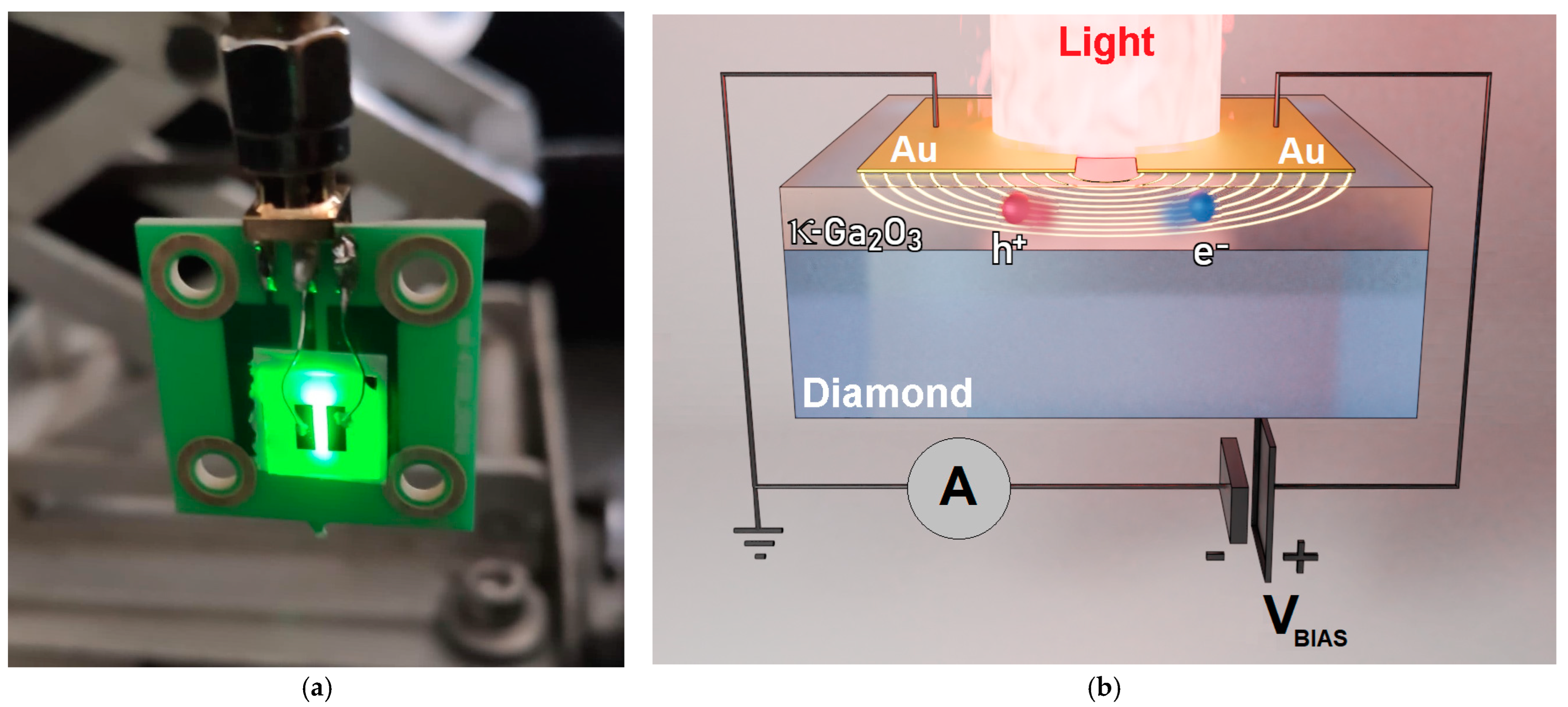 Materials 17 00519 g001