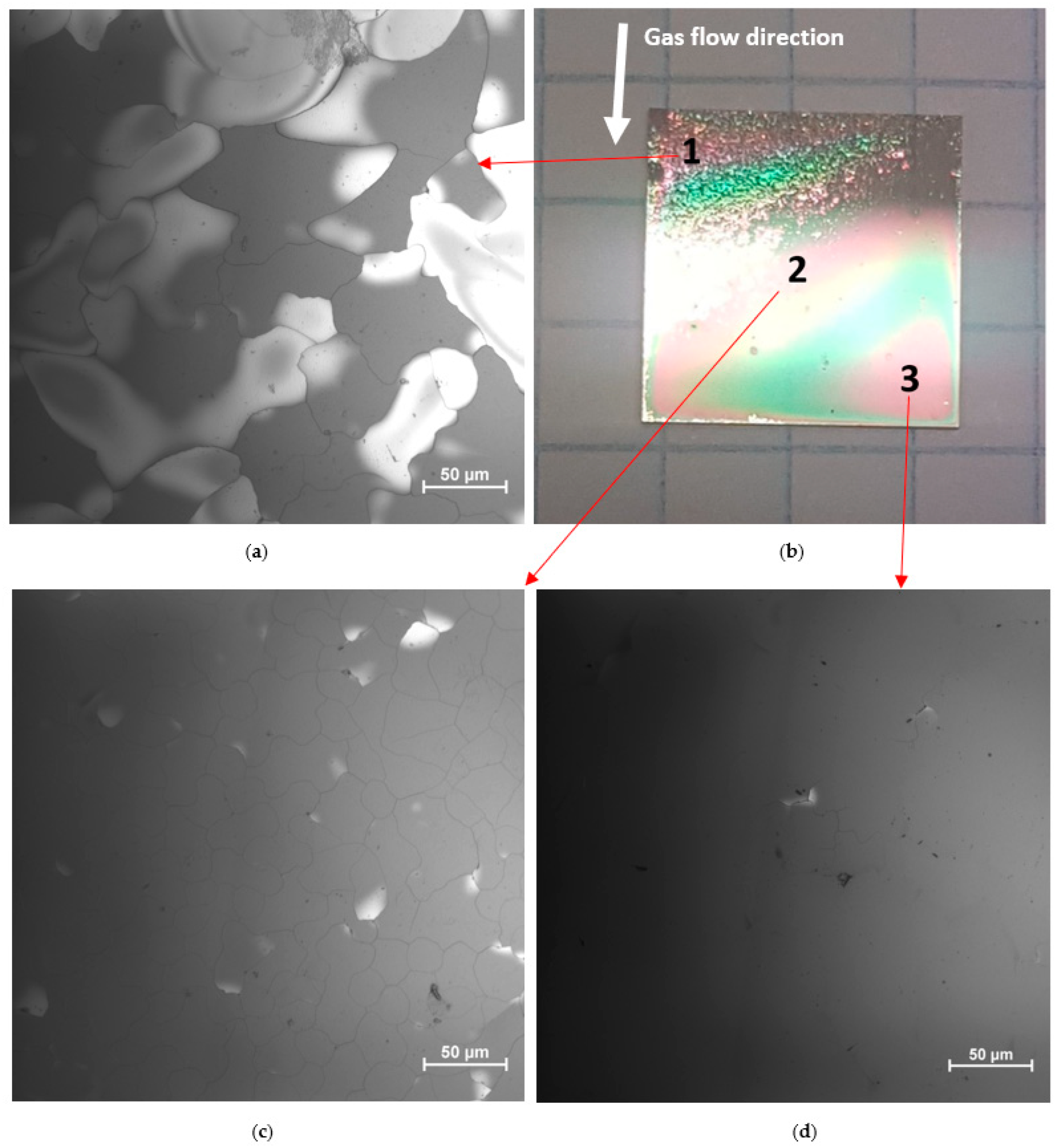 Materials 17 00519 g002