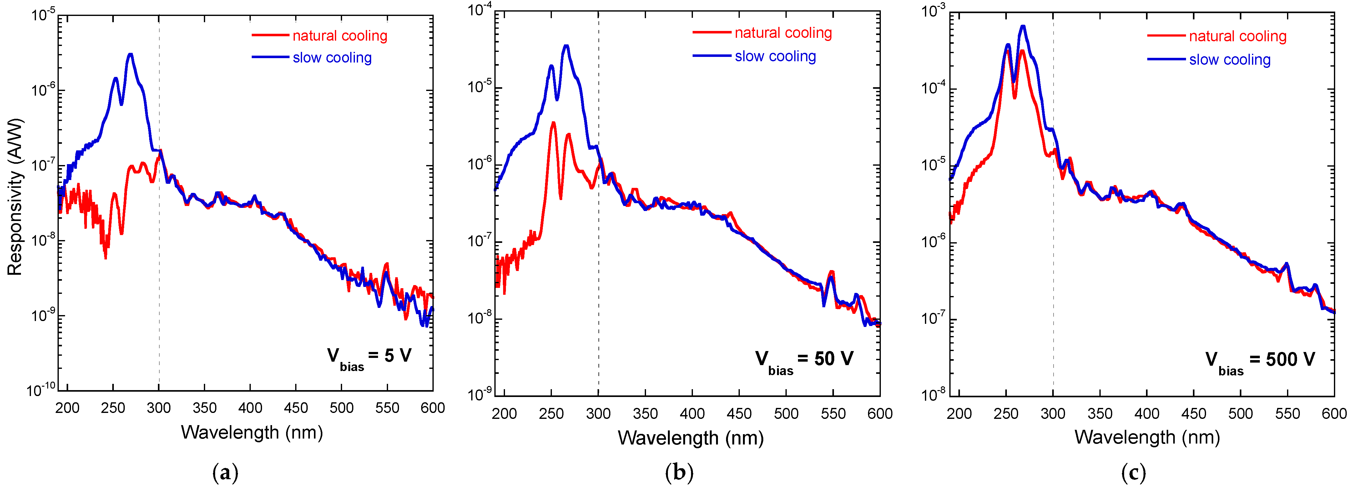 Materials 17 00519 g005