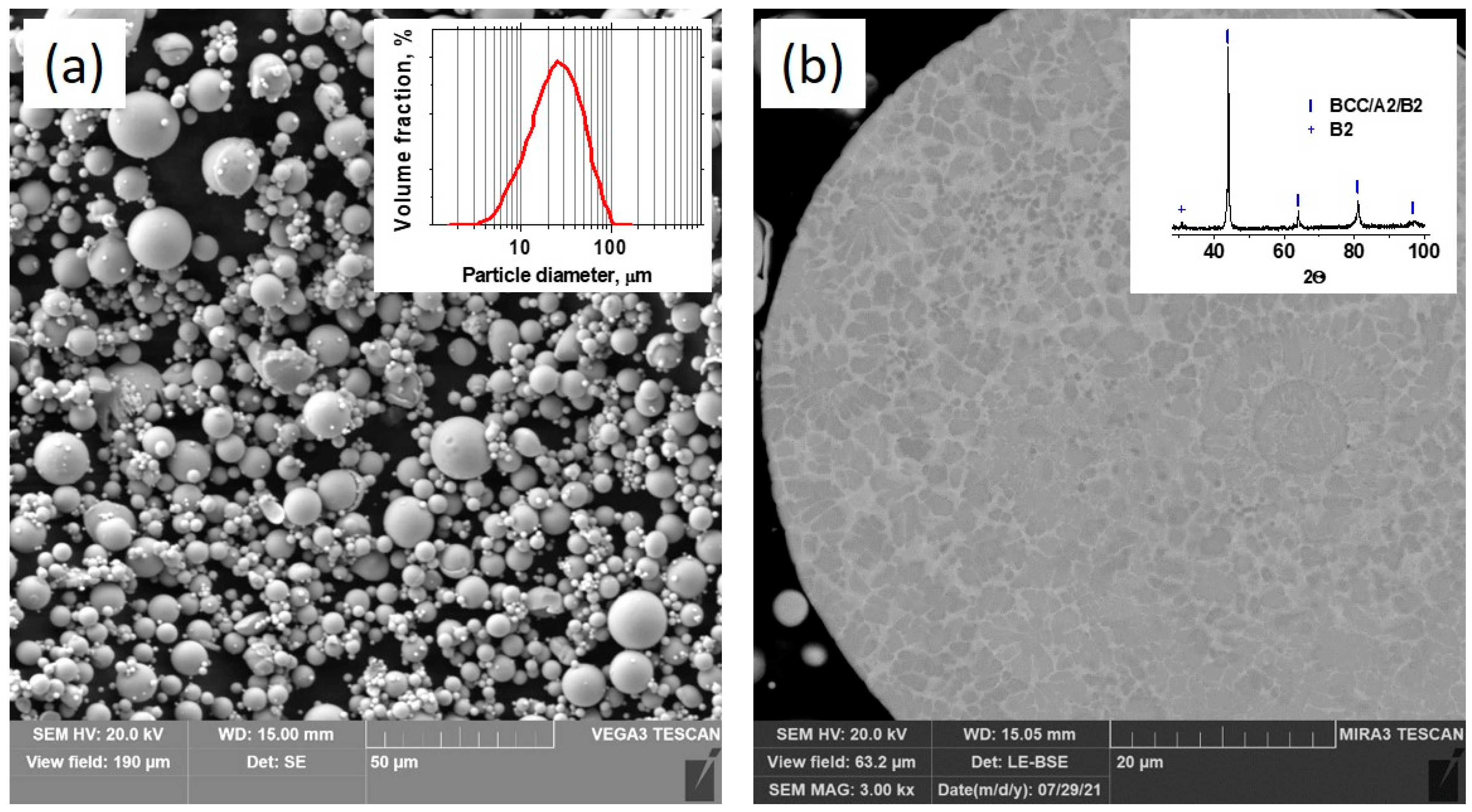 Materials 17 00531 g001