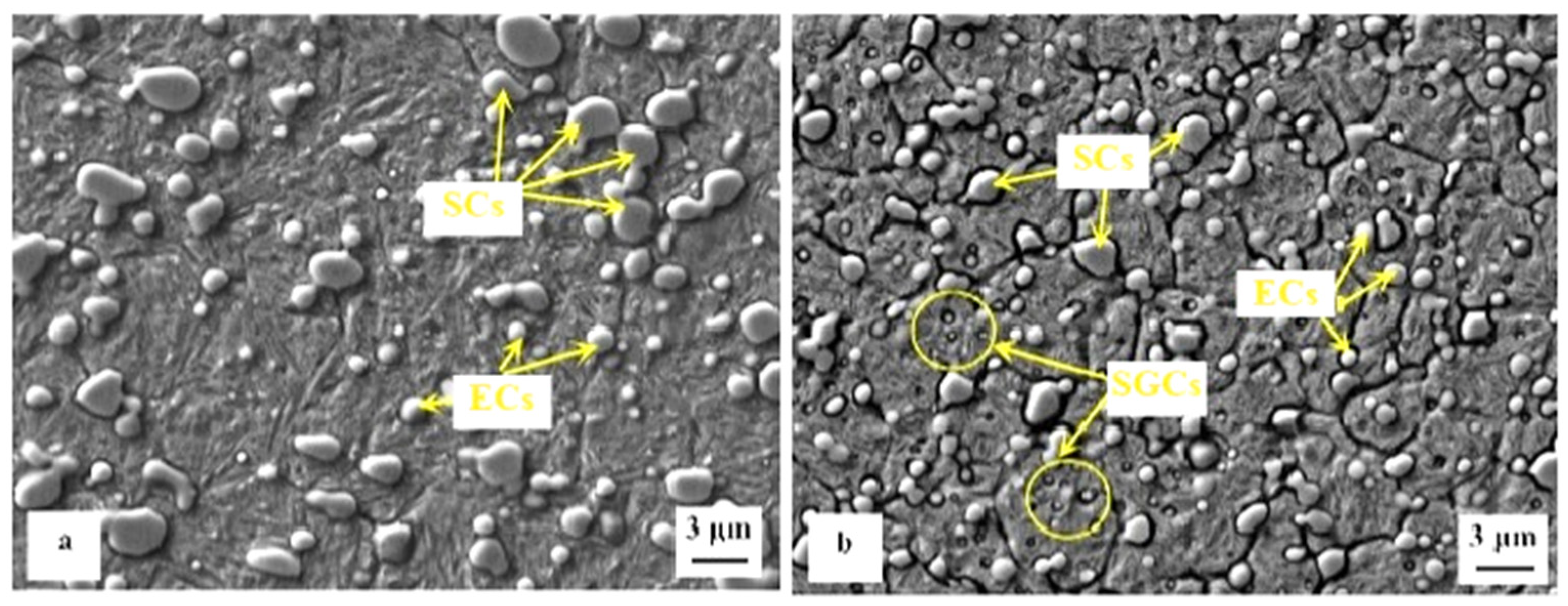 Materials 17 00548 g017