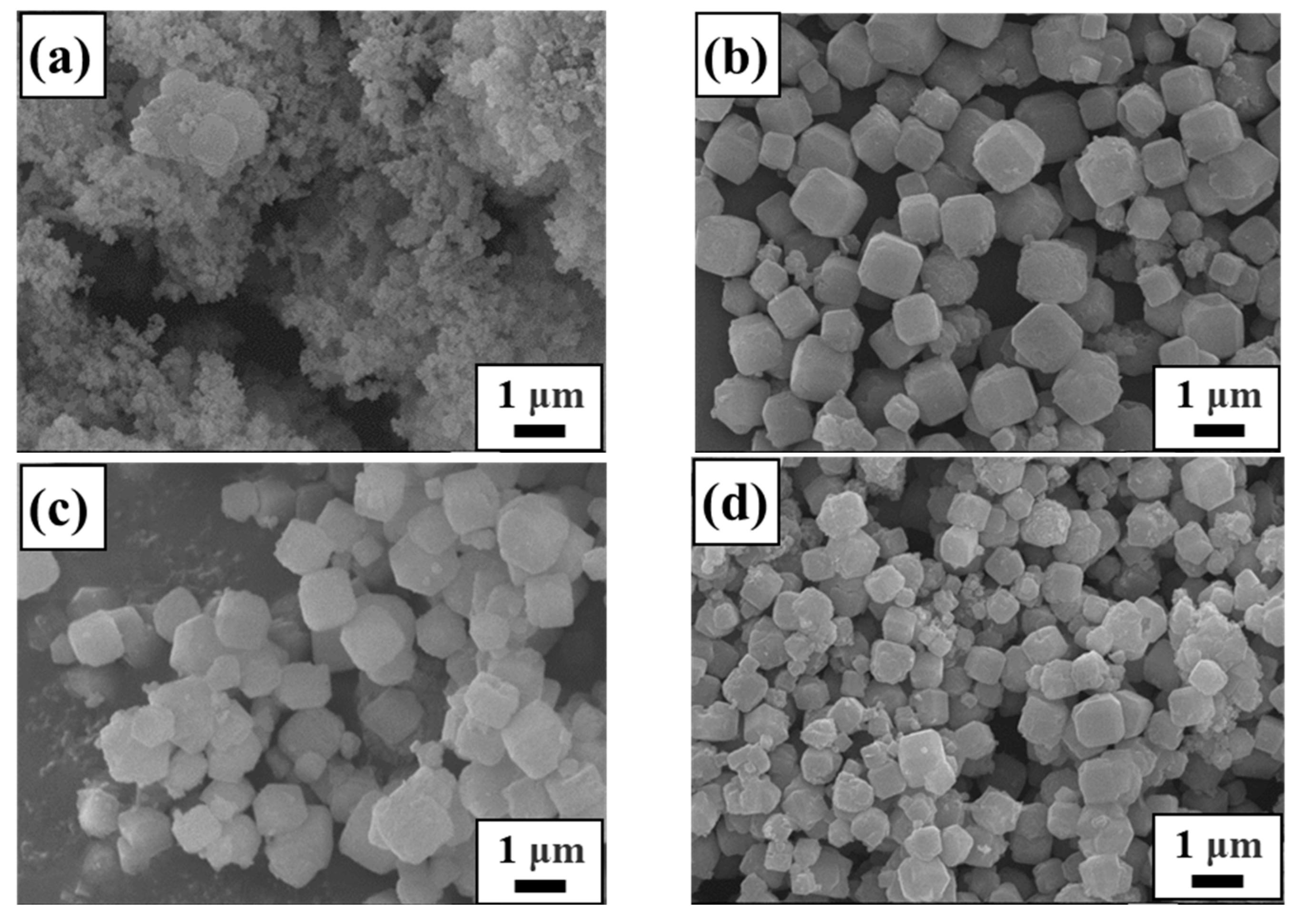 Materials 17 00568 g005