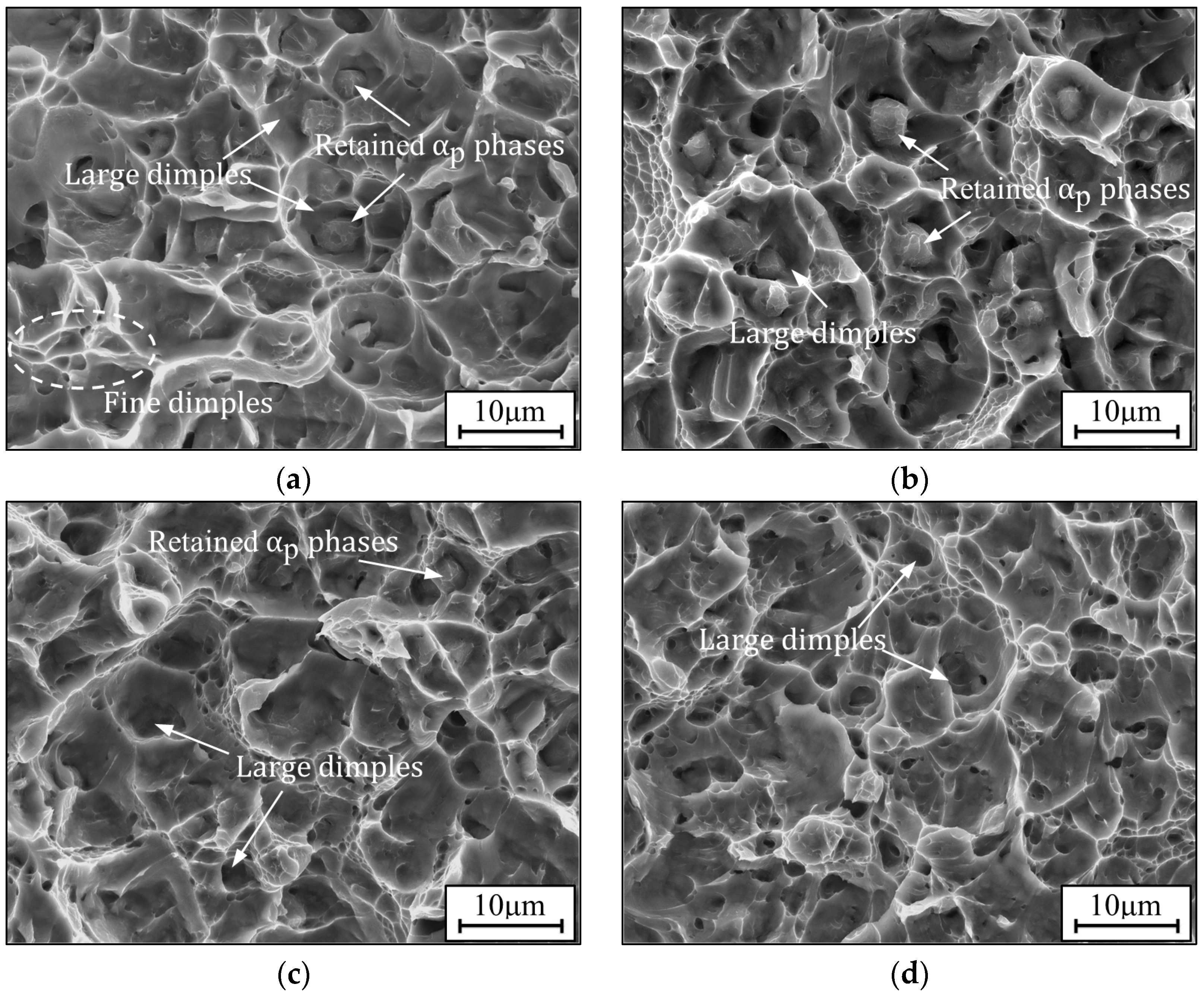 Materials 17 00570 g008