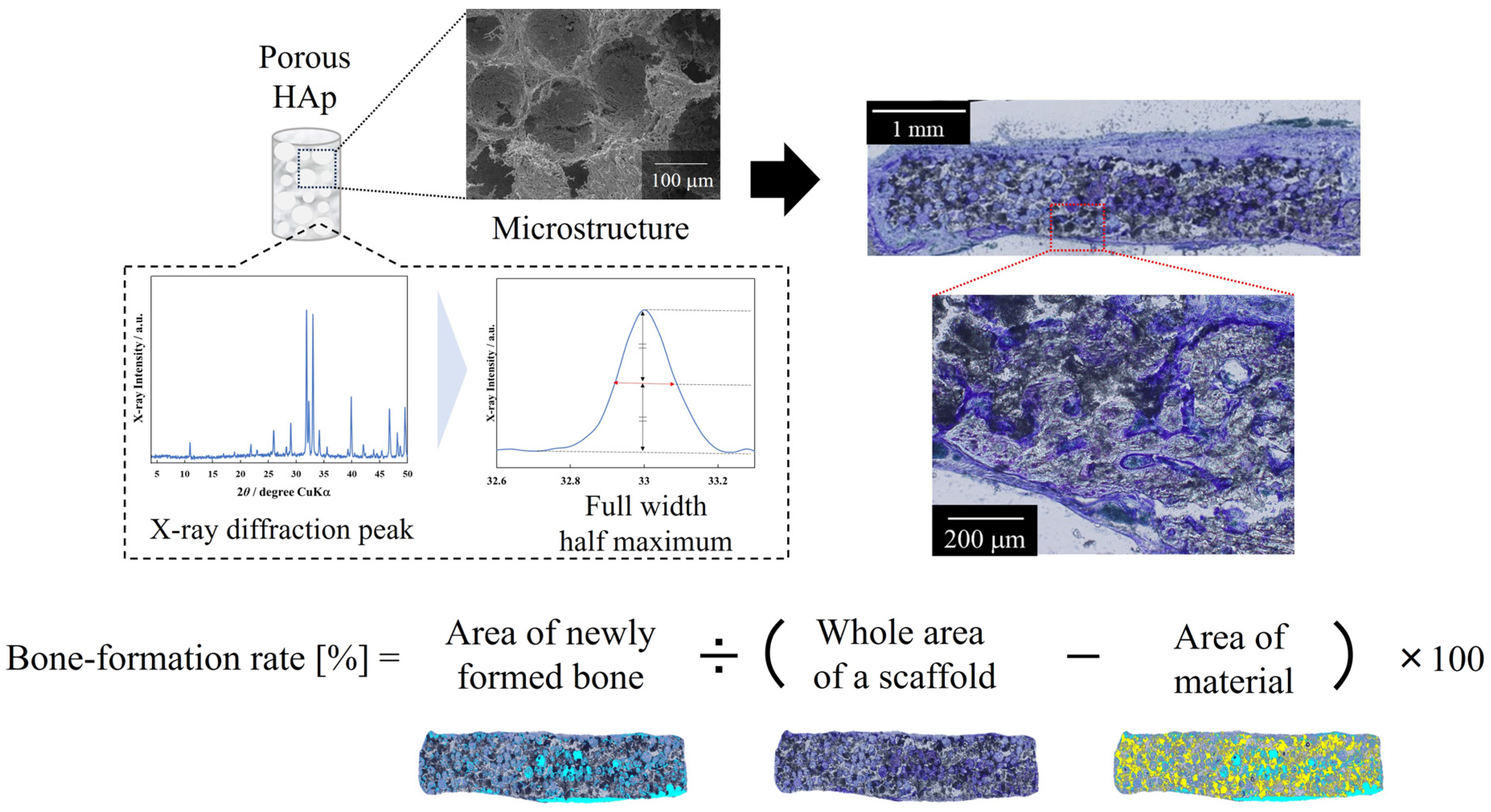 Materials 17 00571 g002