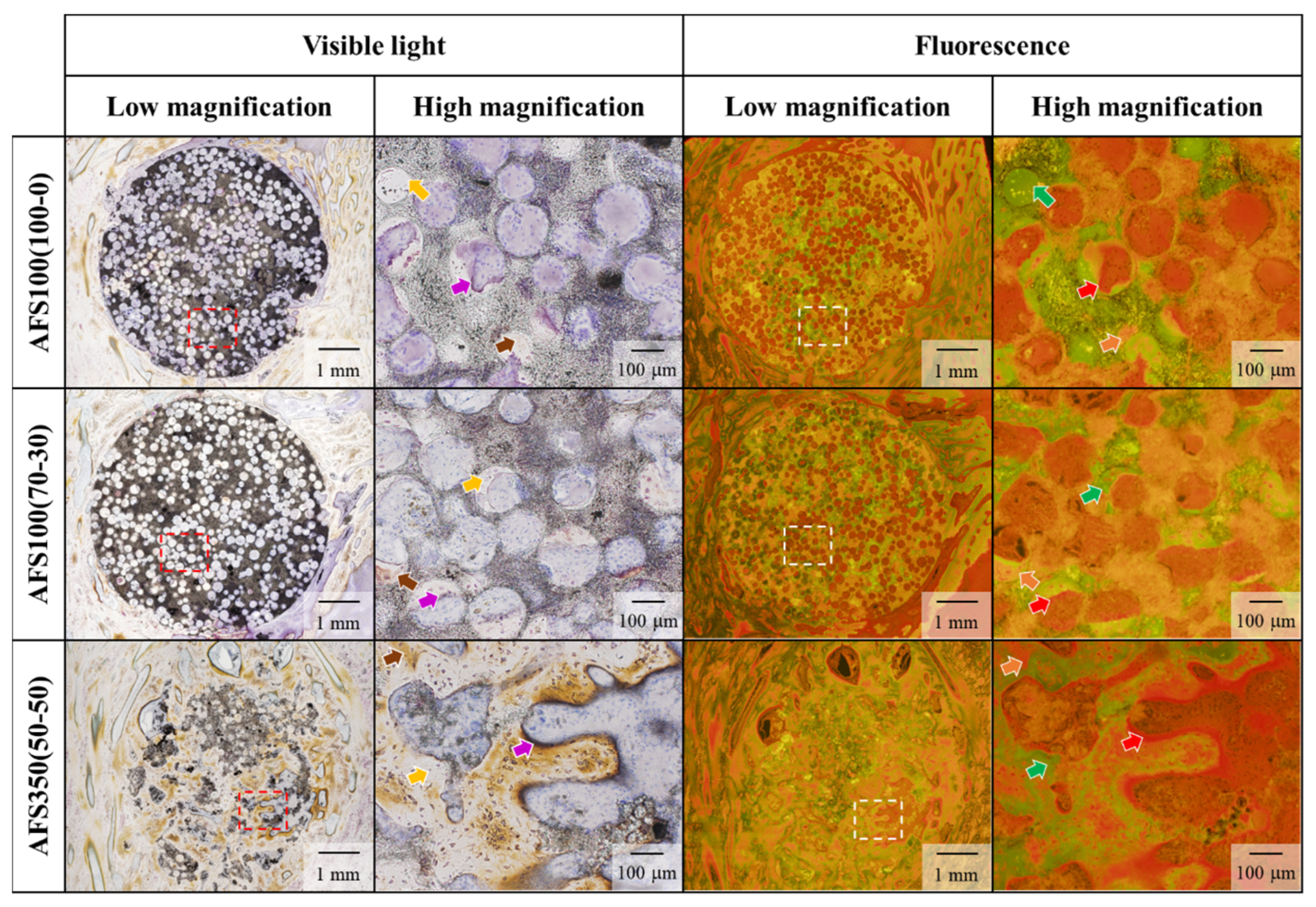 Materials 17 00571 g007
