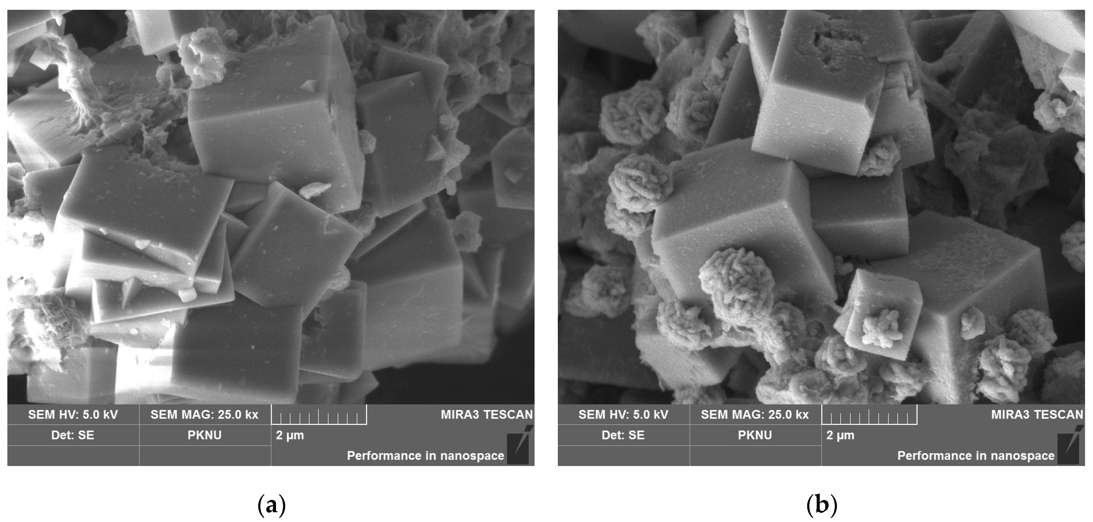 Materials 17 00575 g001