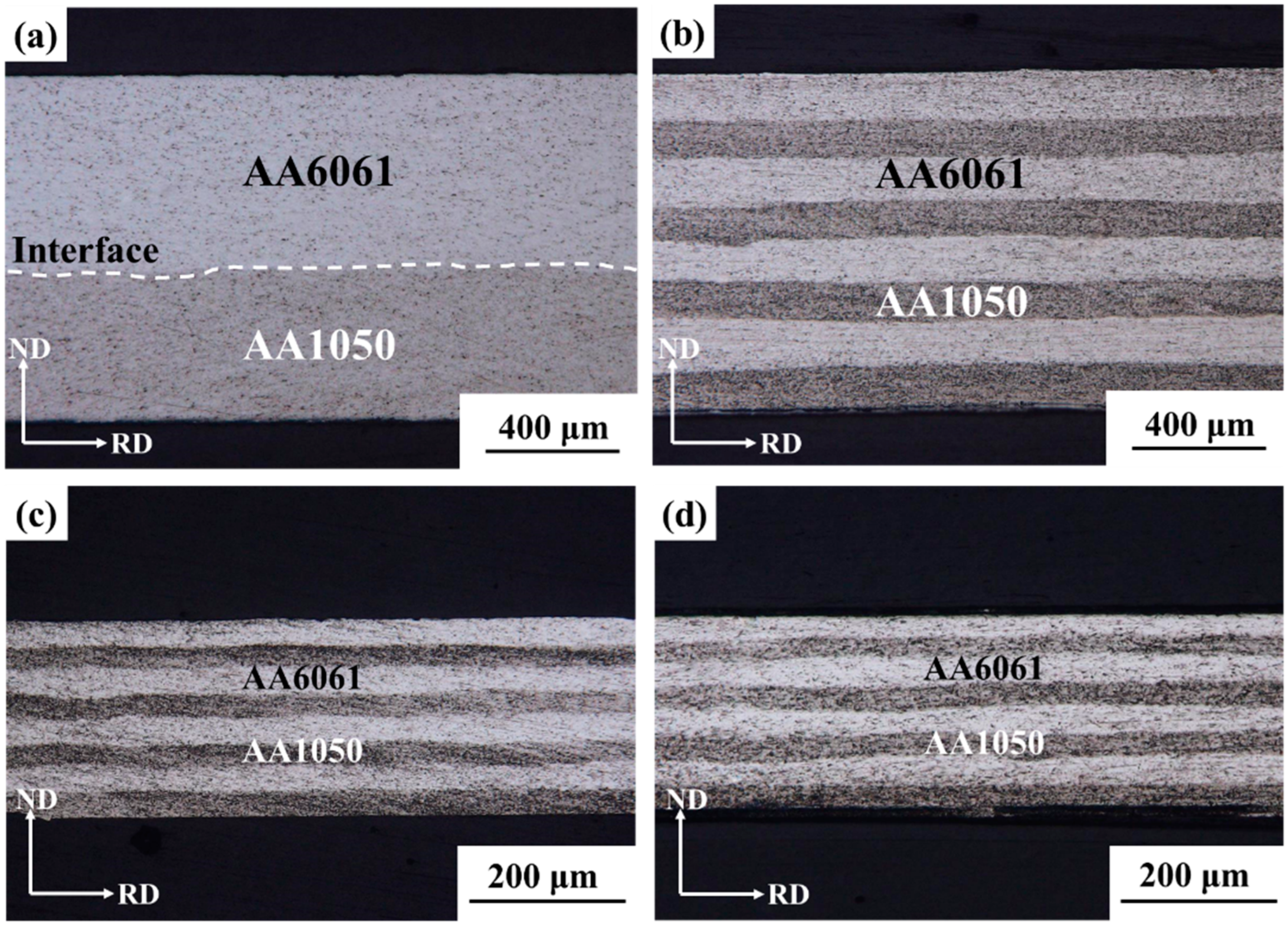 Materials 17 00577 g006