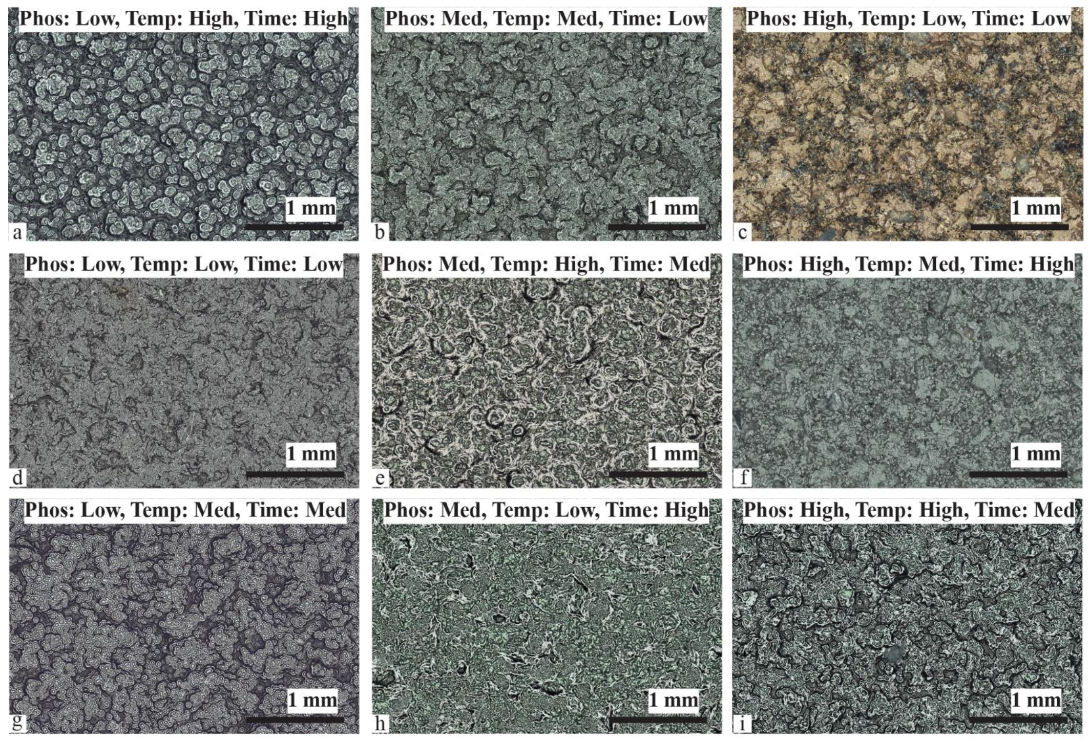 Materials 17 00598 g002