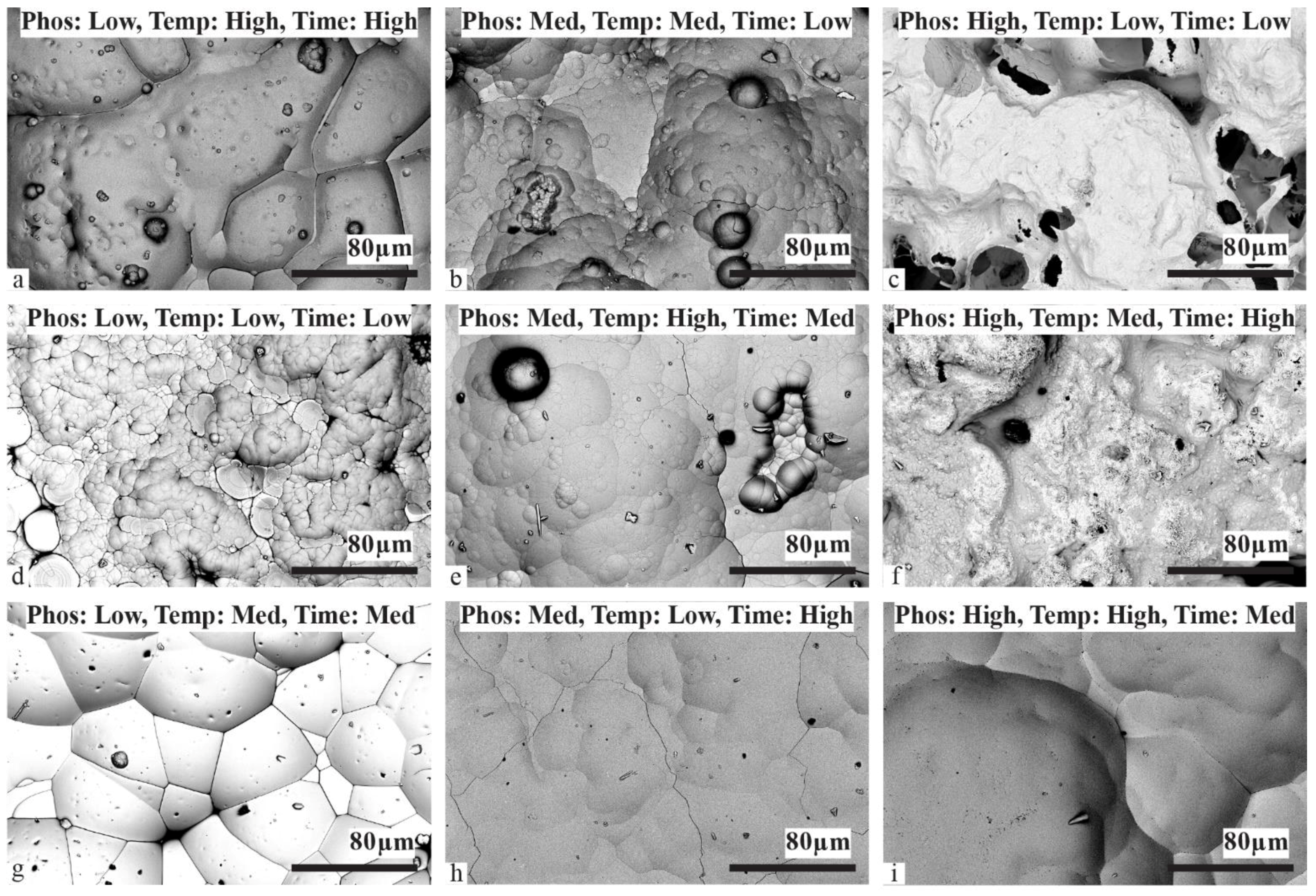 Materials 17 00598 g003