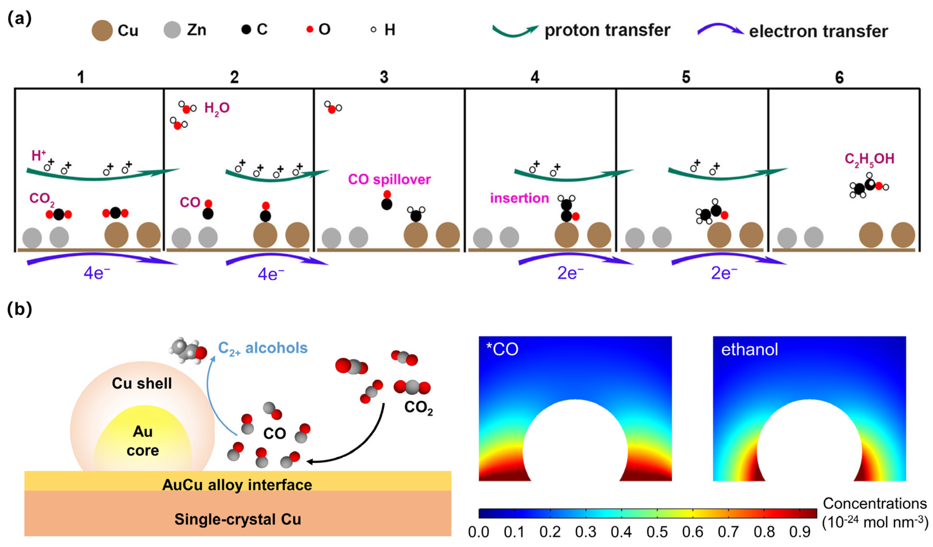 Soft Bioelectronics for Heart Monitoring | ACS Sensors