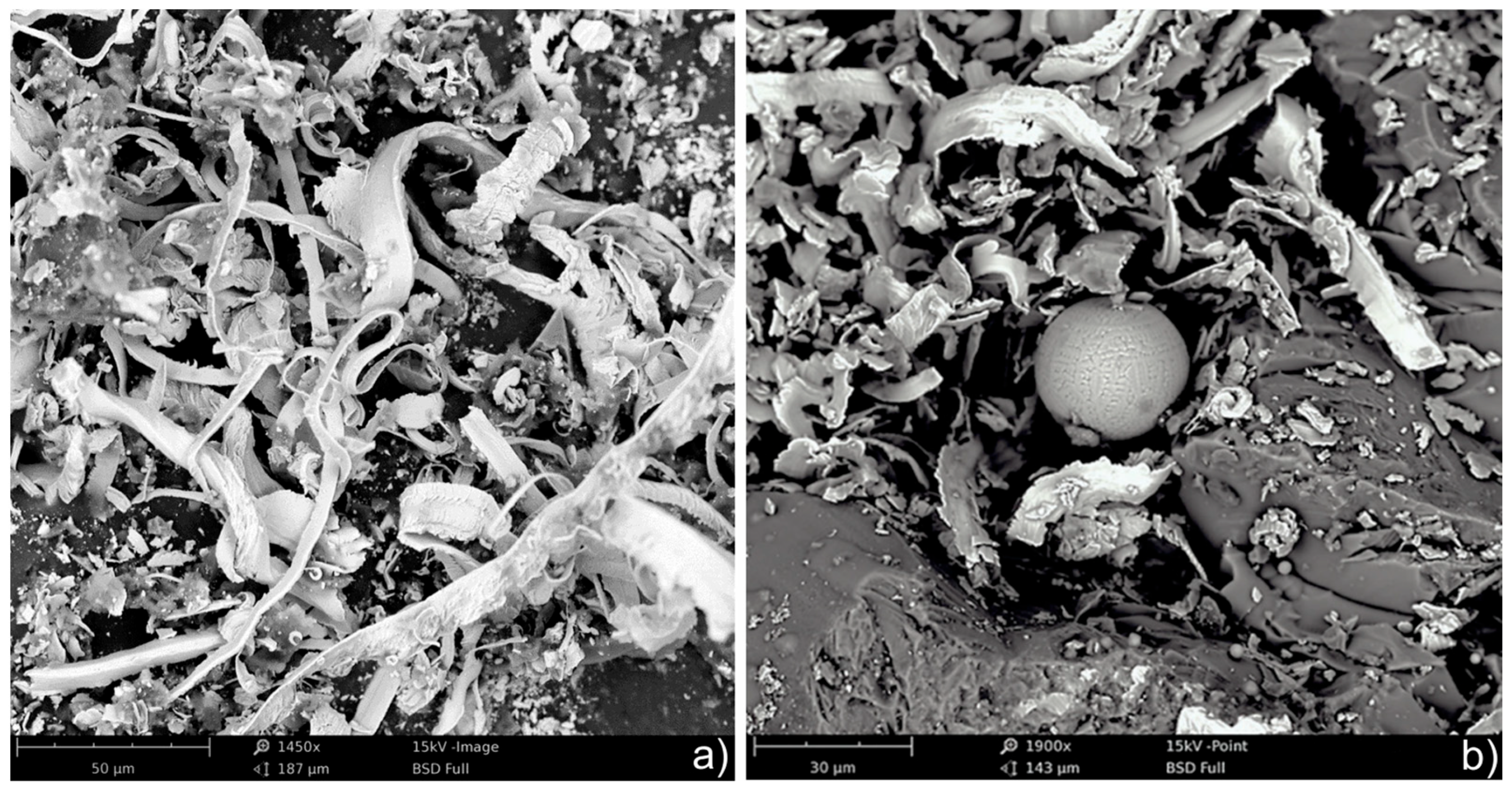 Materials 17 00607 g001