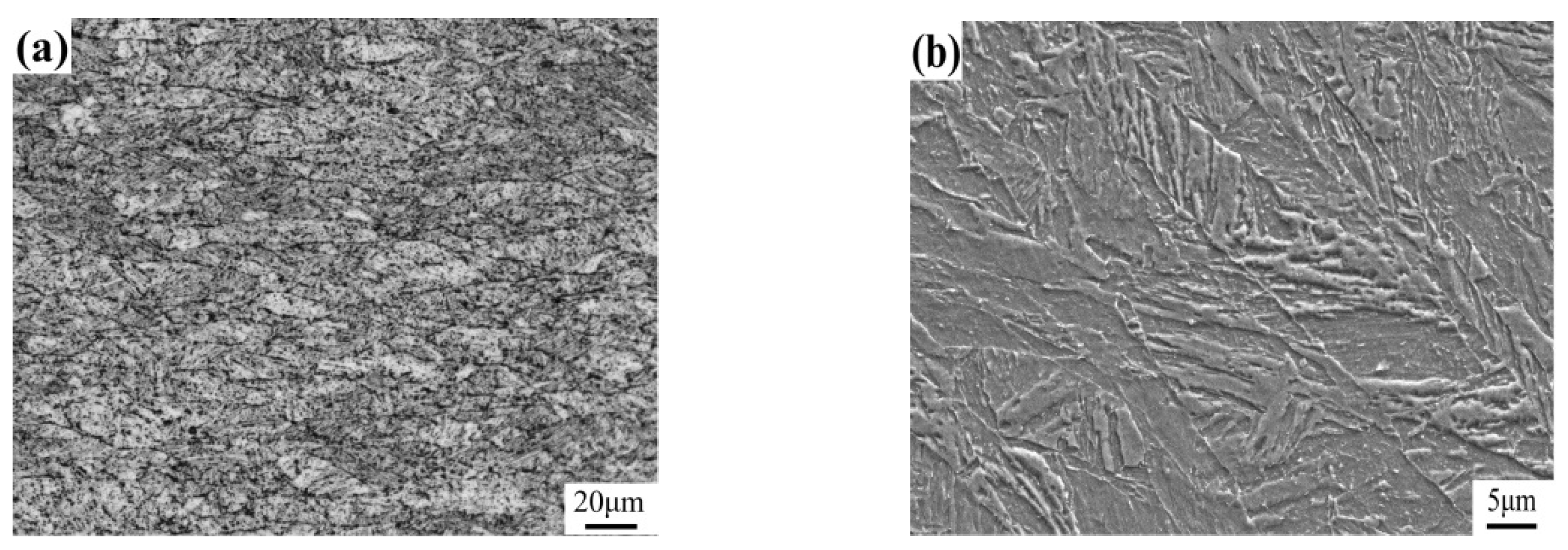 Materials 17 00613 g001