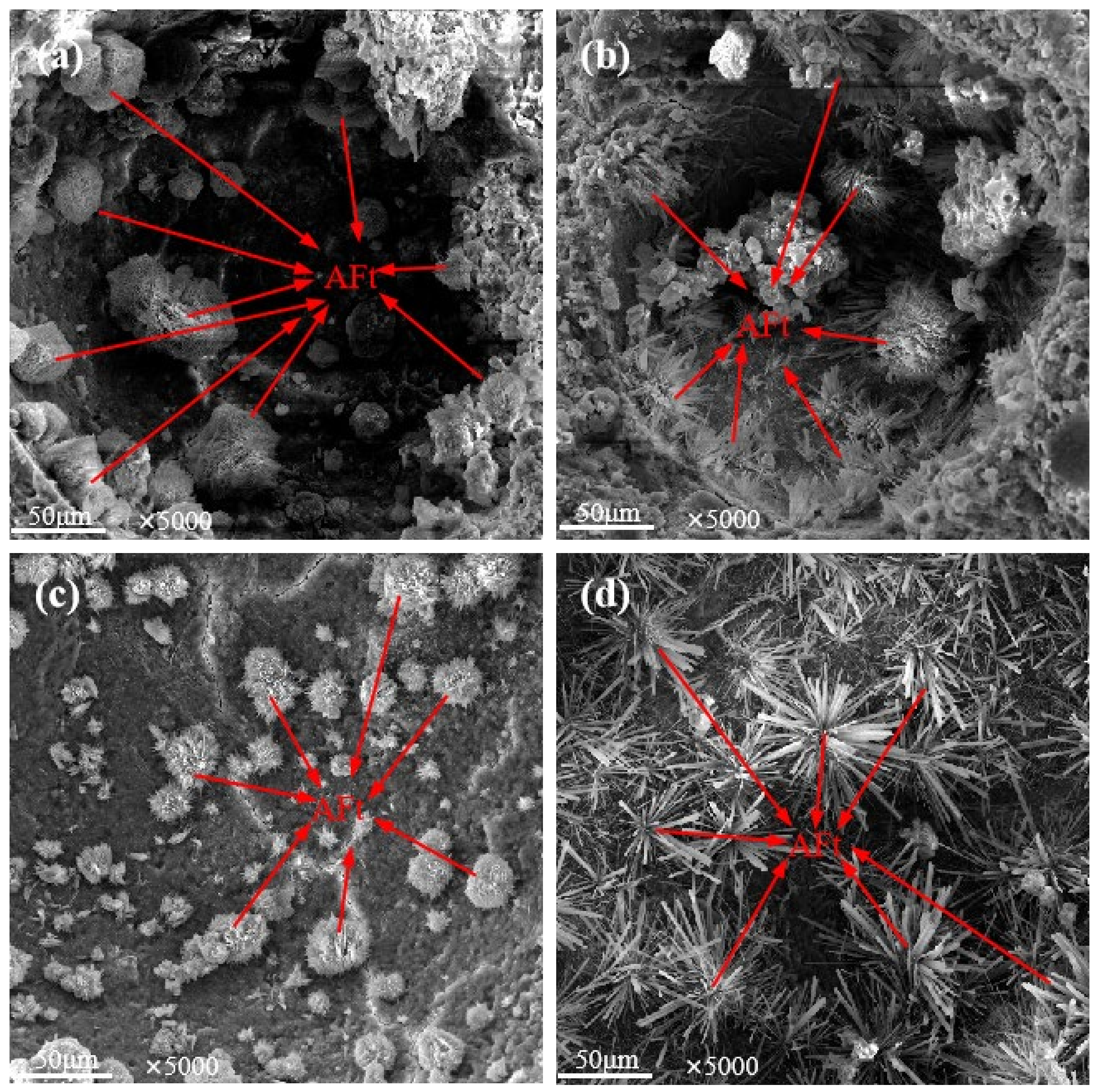 Materials 17 00617 g006