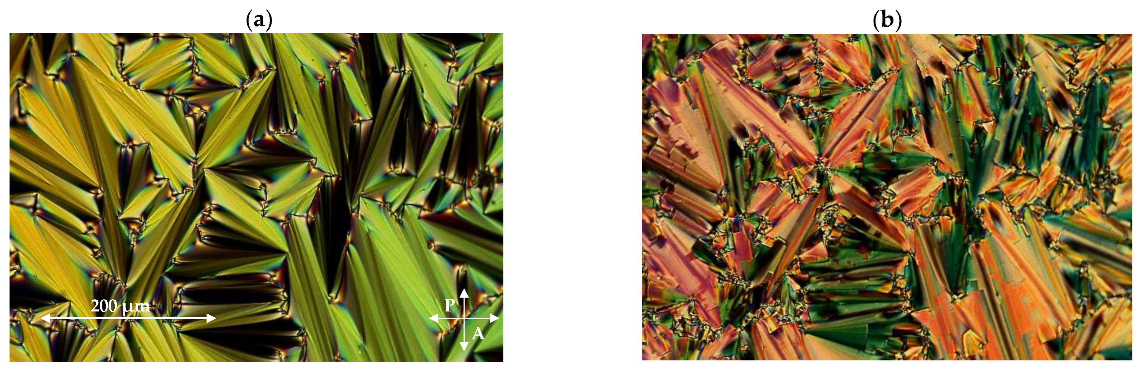 Materials 17 00618 g004a