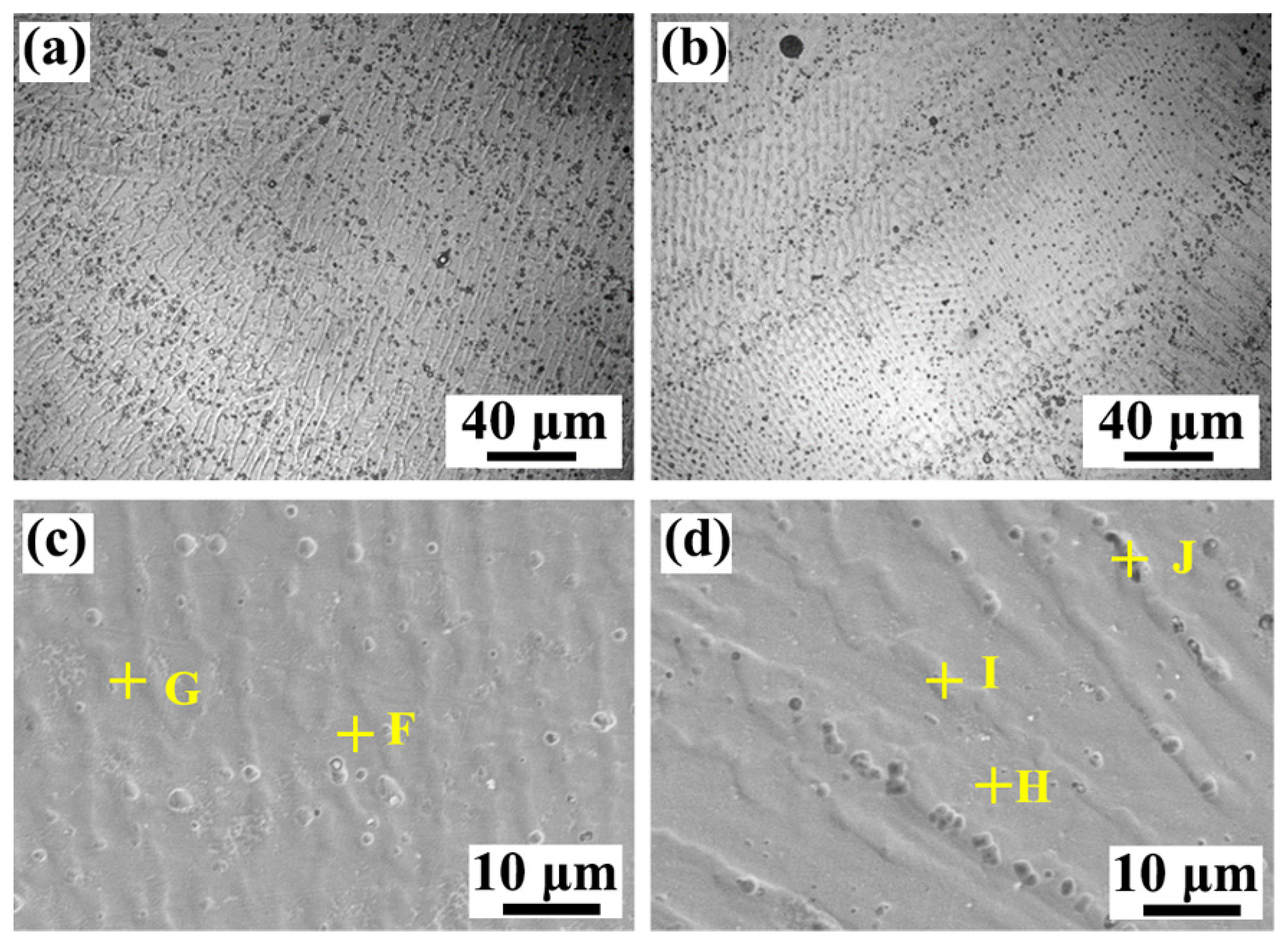 Materials 17 00623 g005