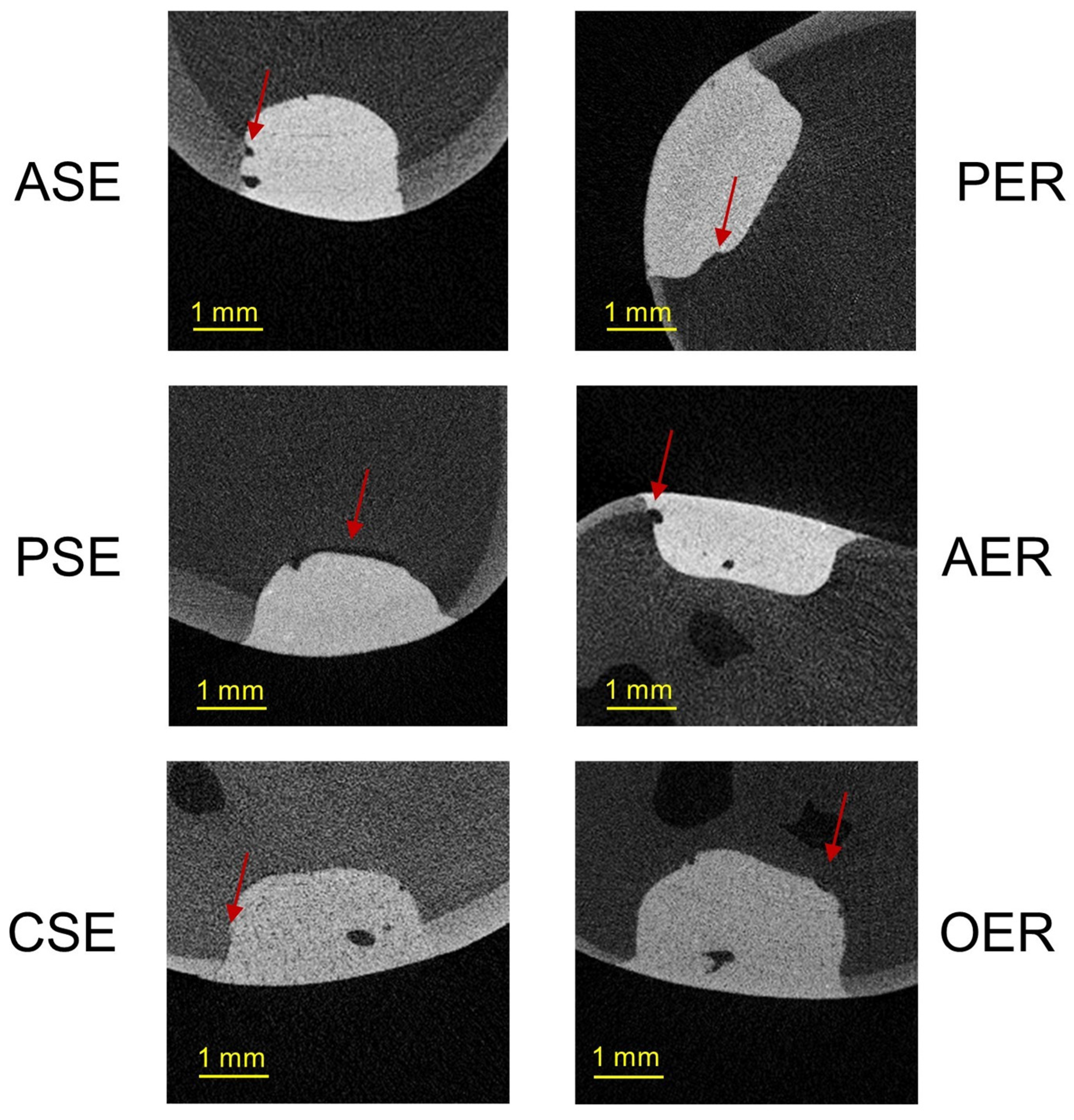 Materials 17 00636 g005