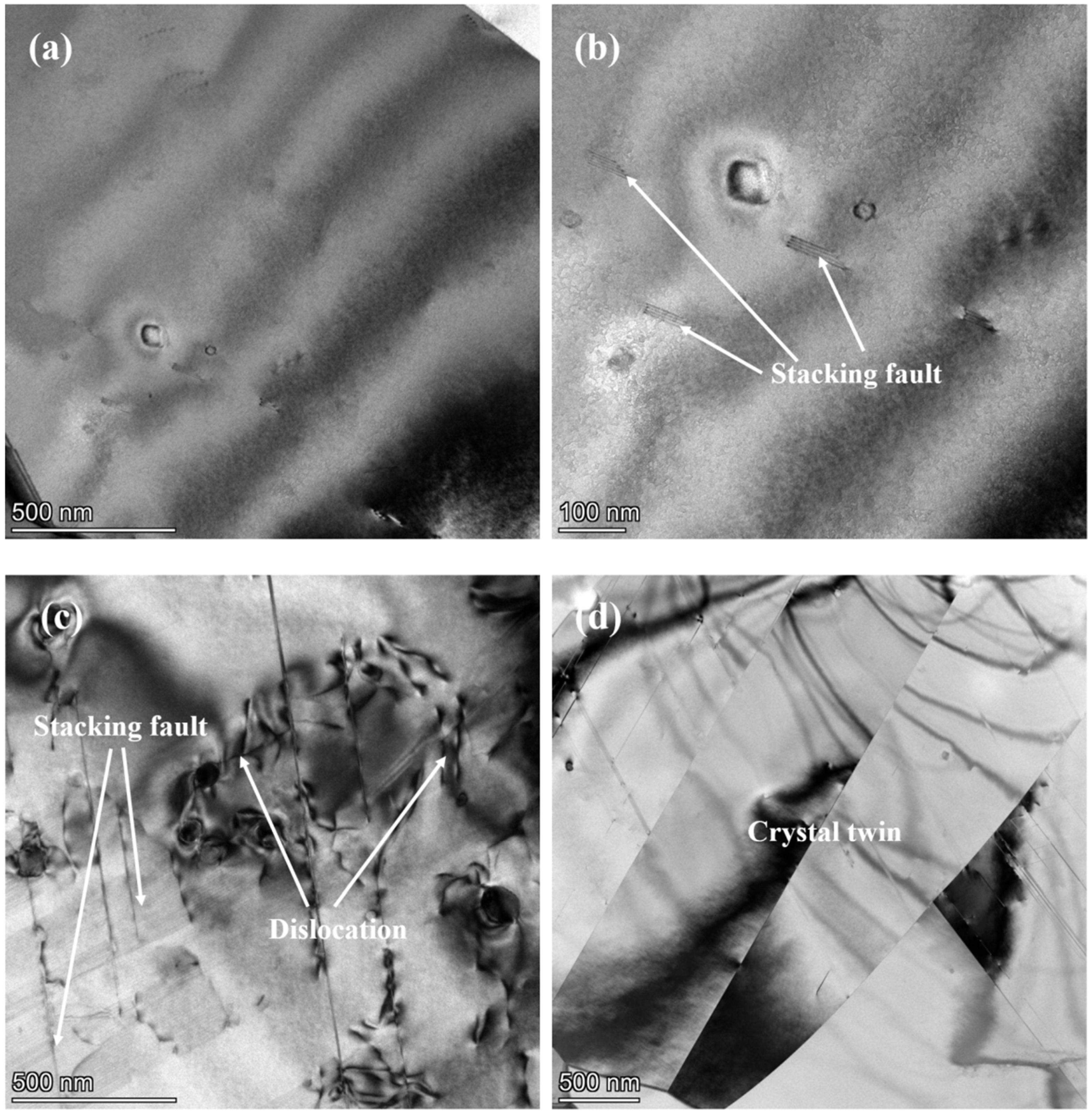 Materials 17 00642 g007