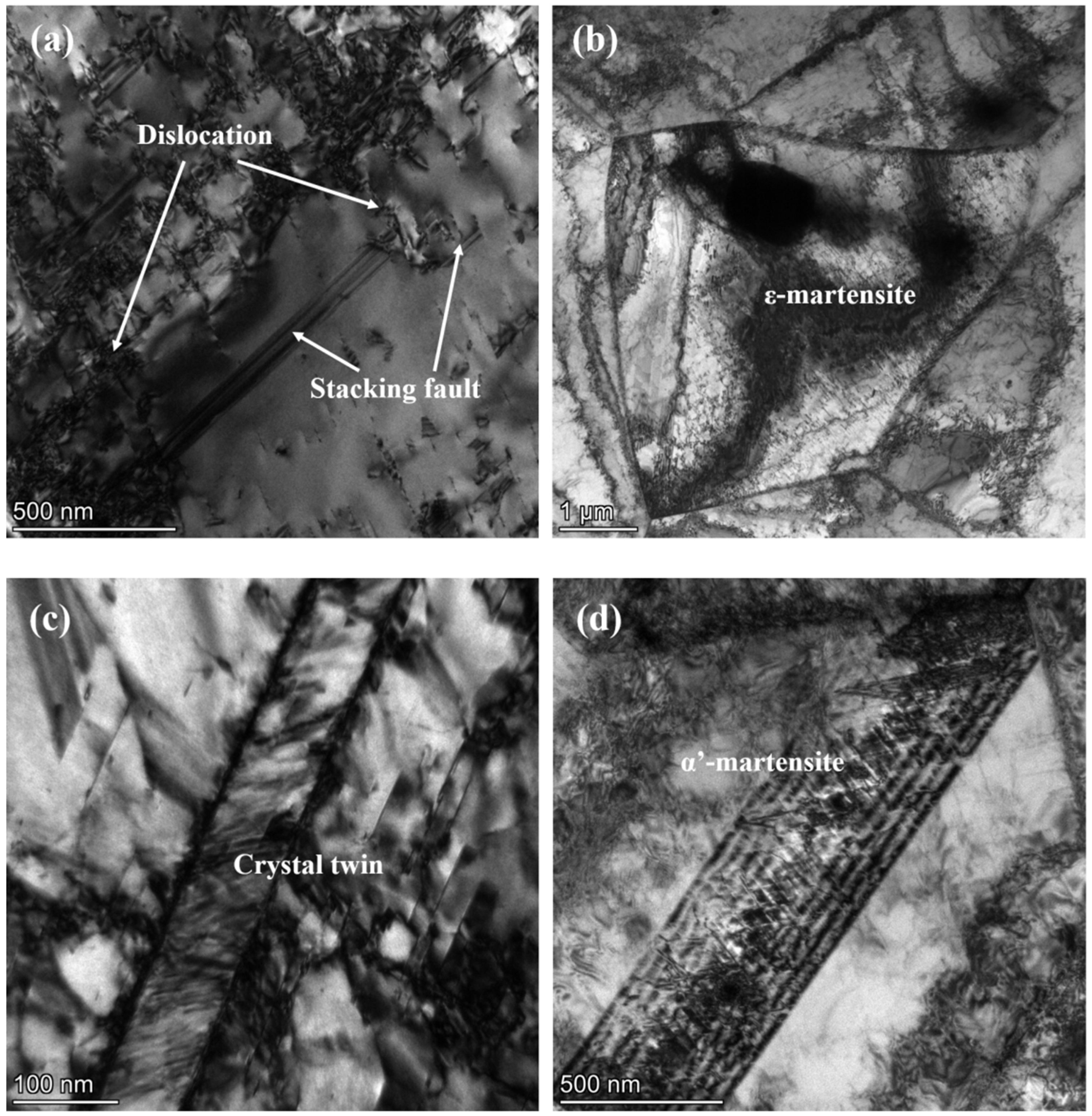 Materials 17 00642 g008