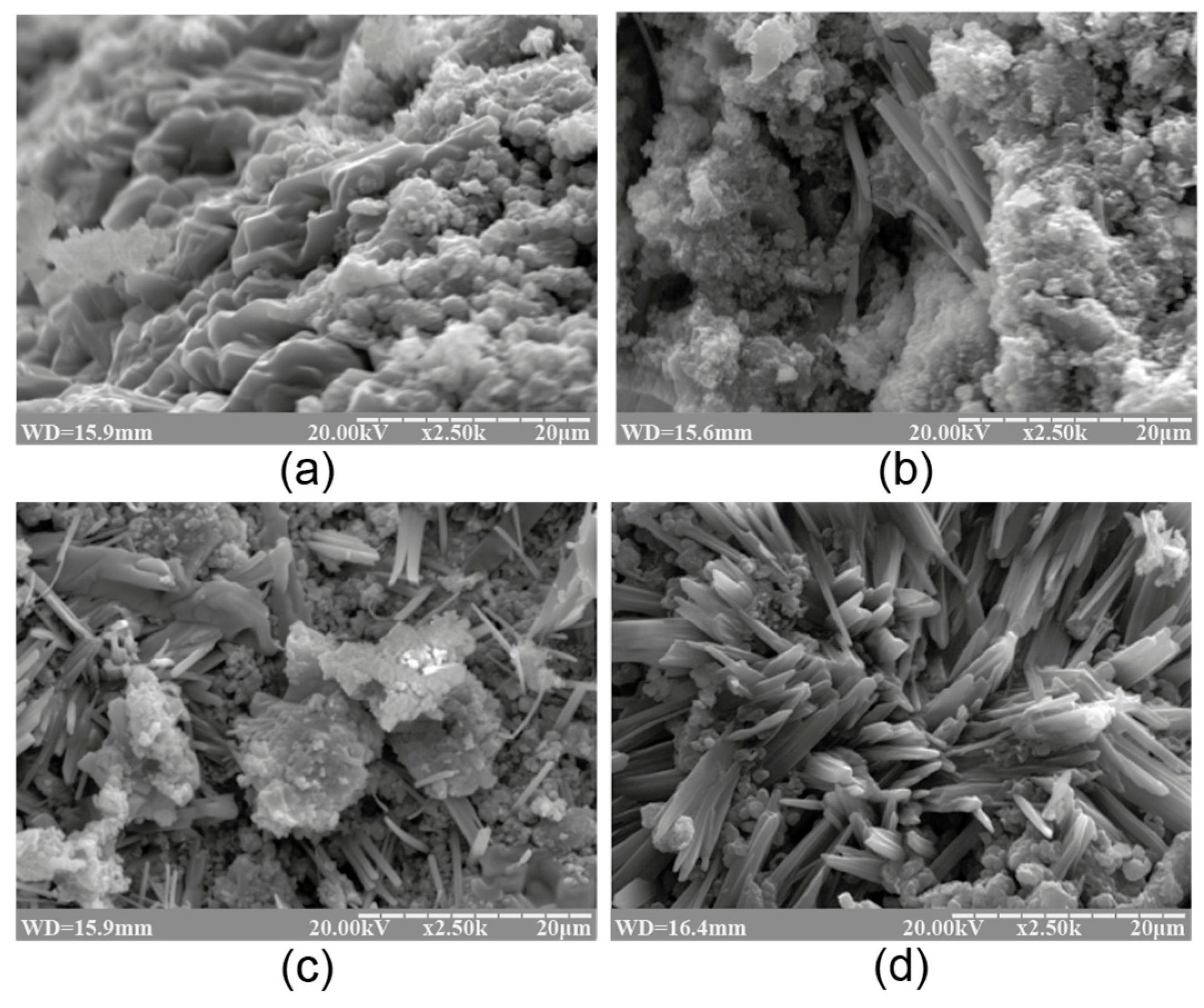 Materials 17 00664 g004